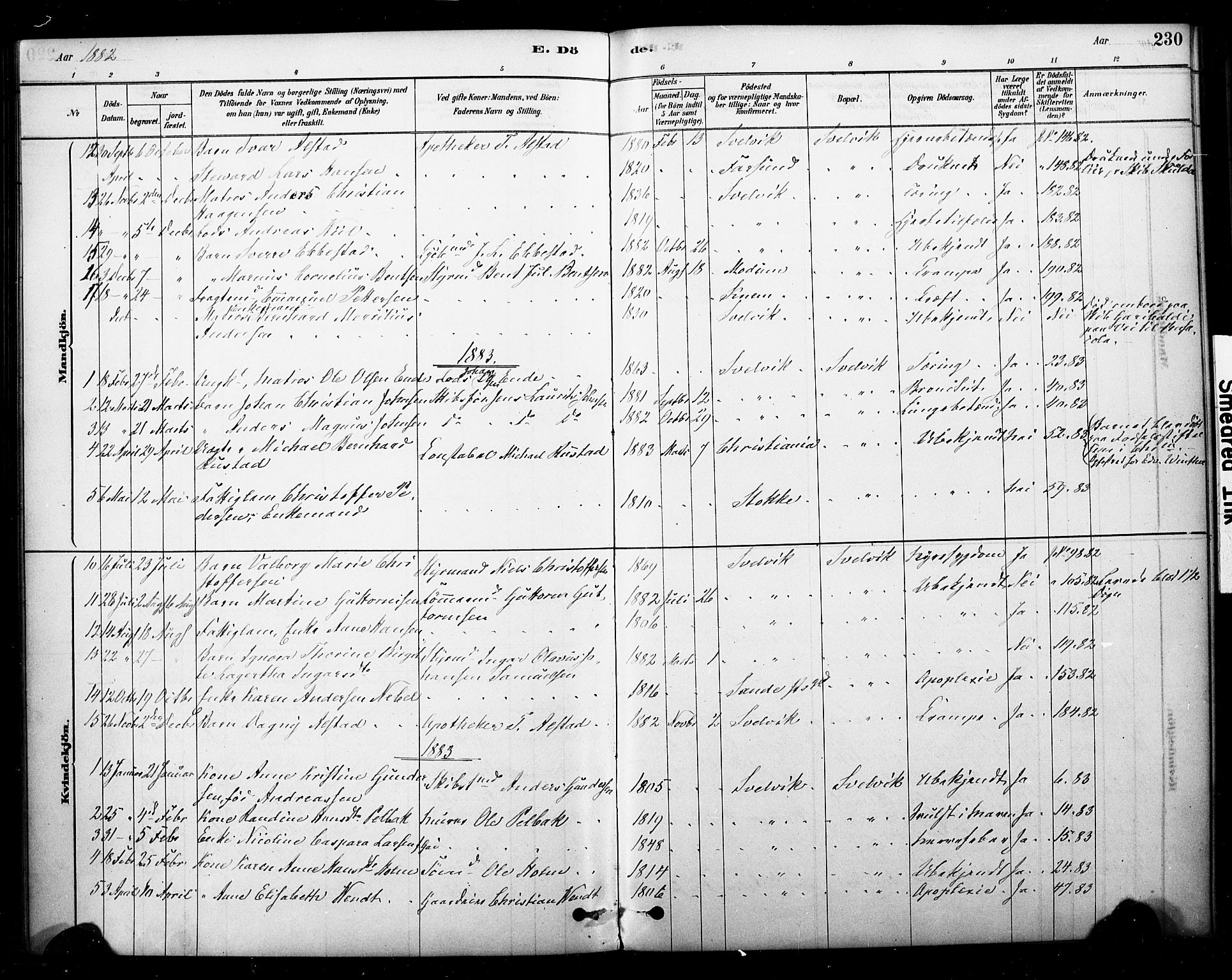 Strømm kirkebøker, SAKO/A-322/F/Fb/L0001: Parish register (official) no. II 1, 1878-1899, p. 230