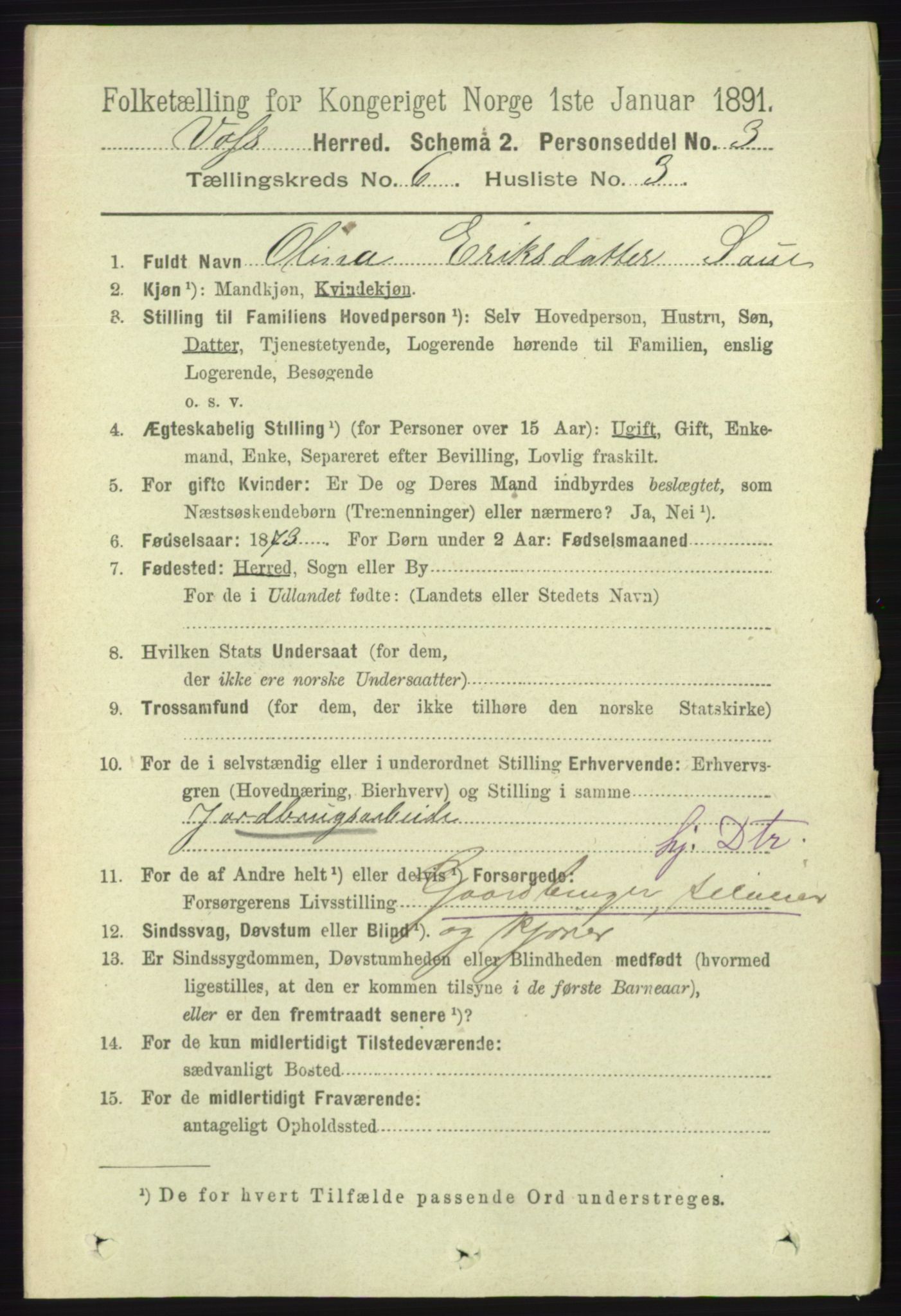 RA, 1891 census for 1235 Voss, 1891, p. 3302