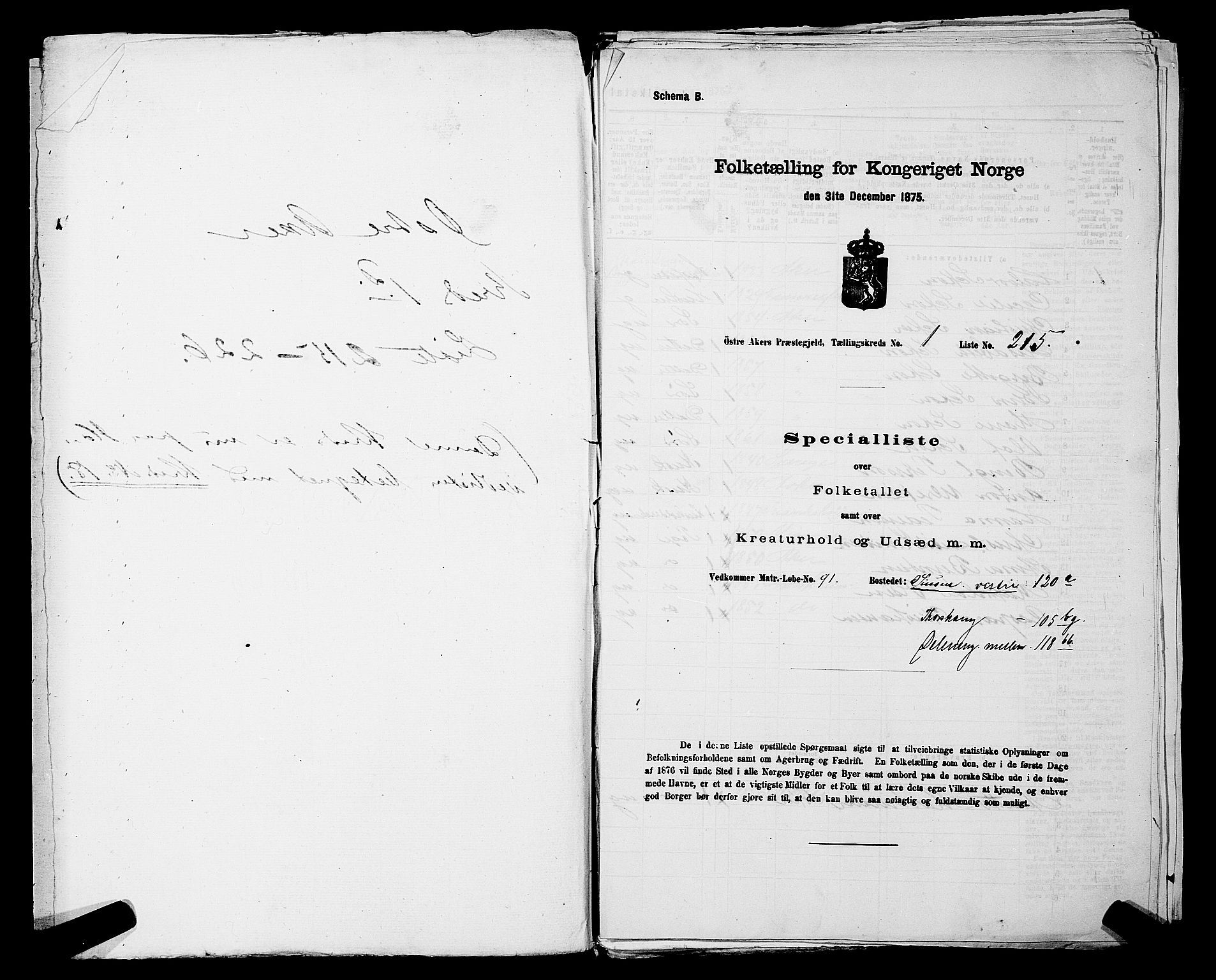 RA, 1875 census for 0218bP Østre Aker, 1875, p. 217