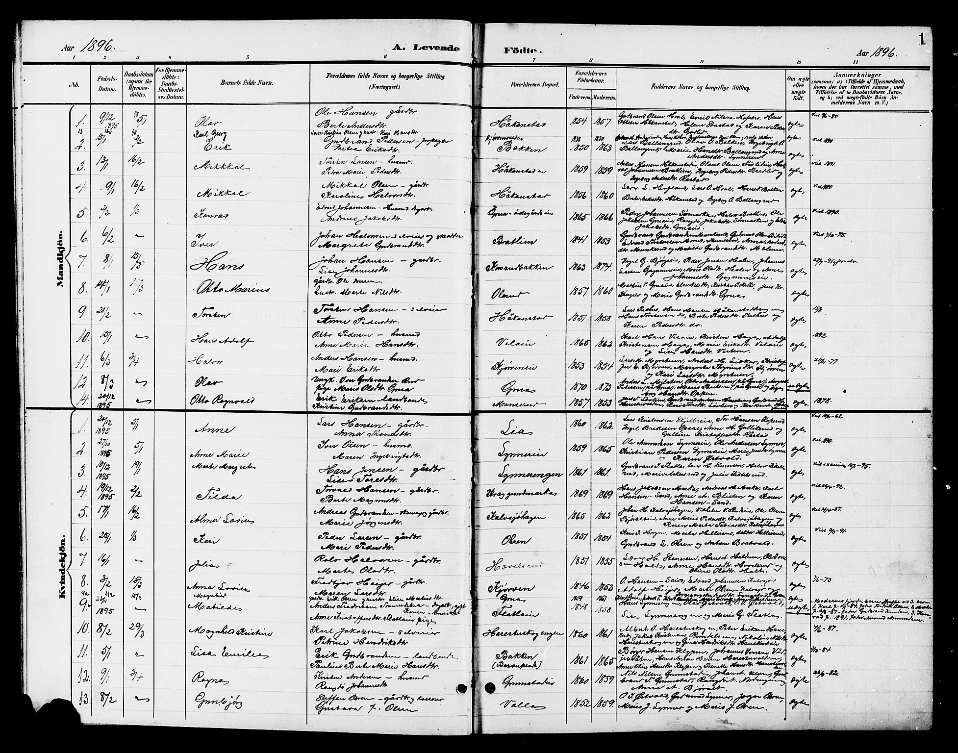 Jevnaker prestekontor, SAH/PREST-116/H/Ha/Hab/L0003: Parish register (copy) no. 3, 1896-1909, p. 1