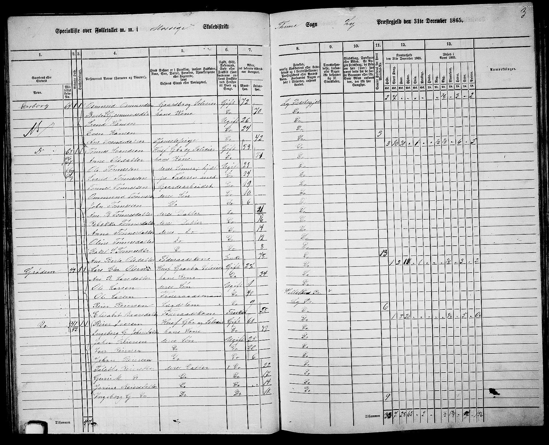 RA, 1865 census for Lye, 1865, p. 82