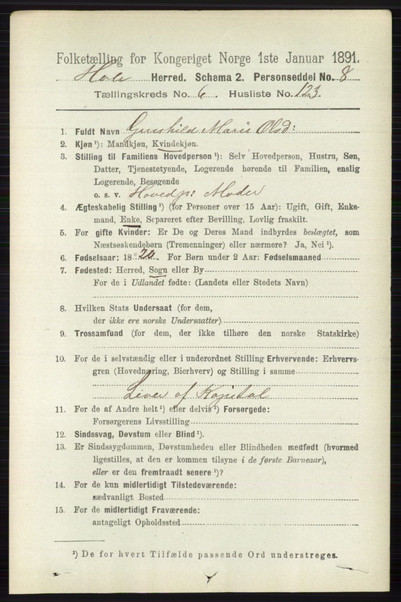 RA, 1891 census for 0612 Hole, 1891, p. 3874