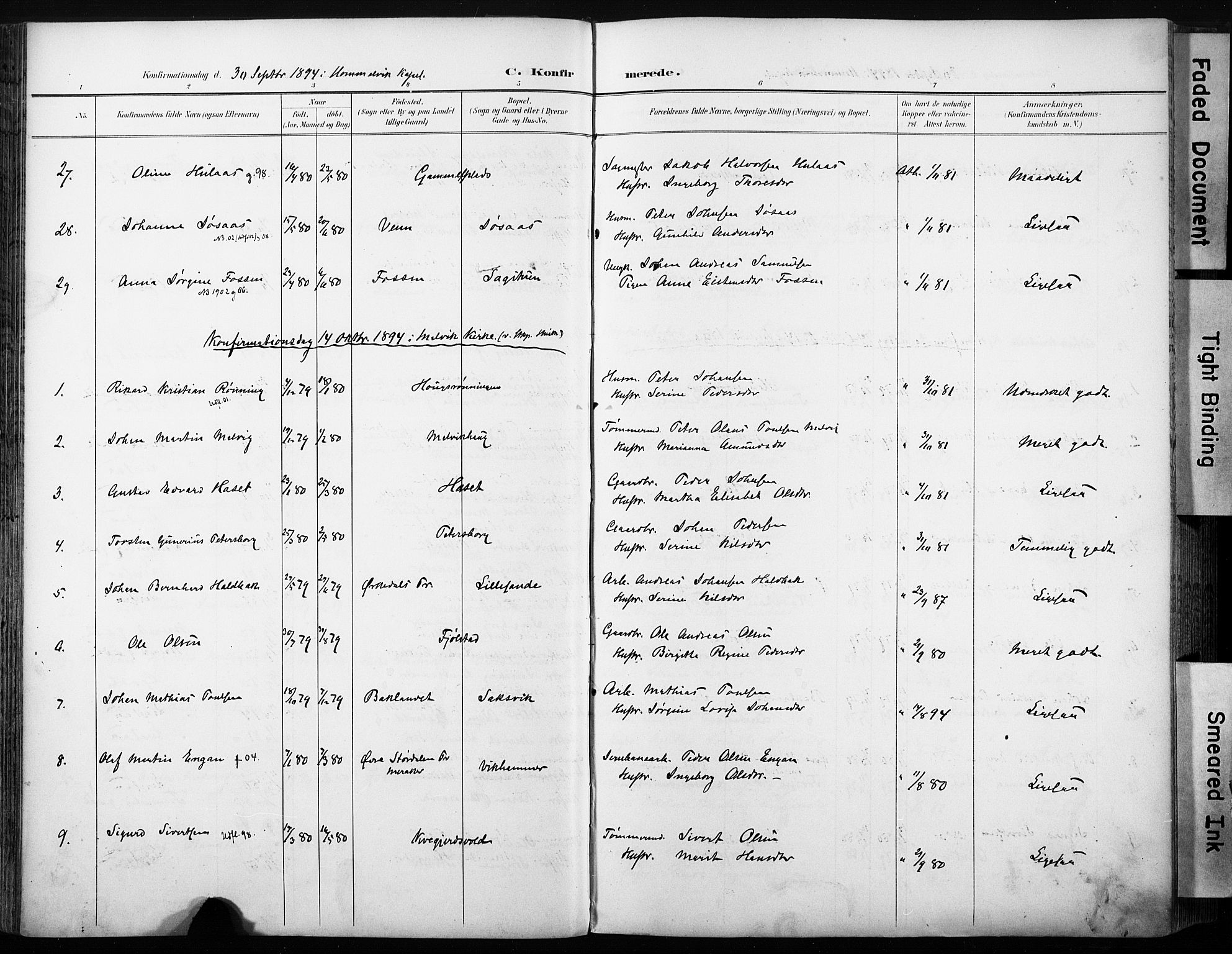 Ministerialprotokoller, klokkerbøker og fødselsregistre - Sør-Trøndelag, AV/SAT-A-1456/616/L0411: Parish register (official) no. 616A08, 1894-1906