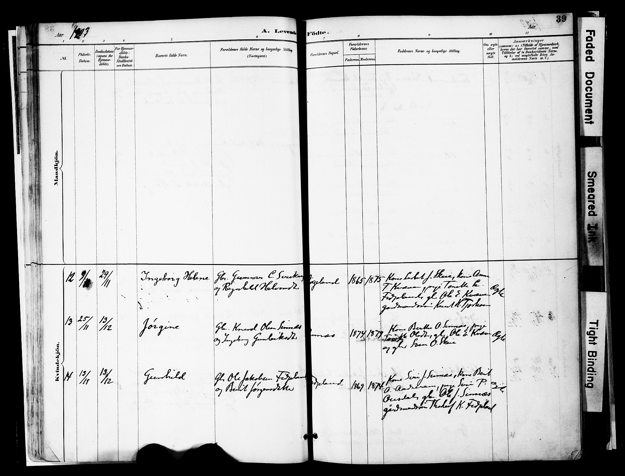 Sirdal sokneprestkontor, AV/SAK-1111-0036/F/Fa/Faa/L0001: Parish register (official) no. A 1, 1887-1910, p. 39