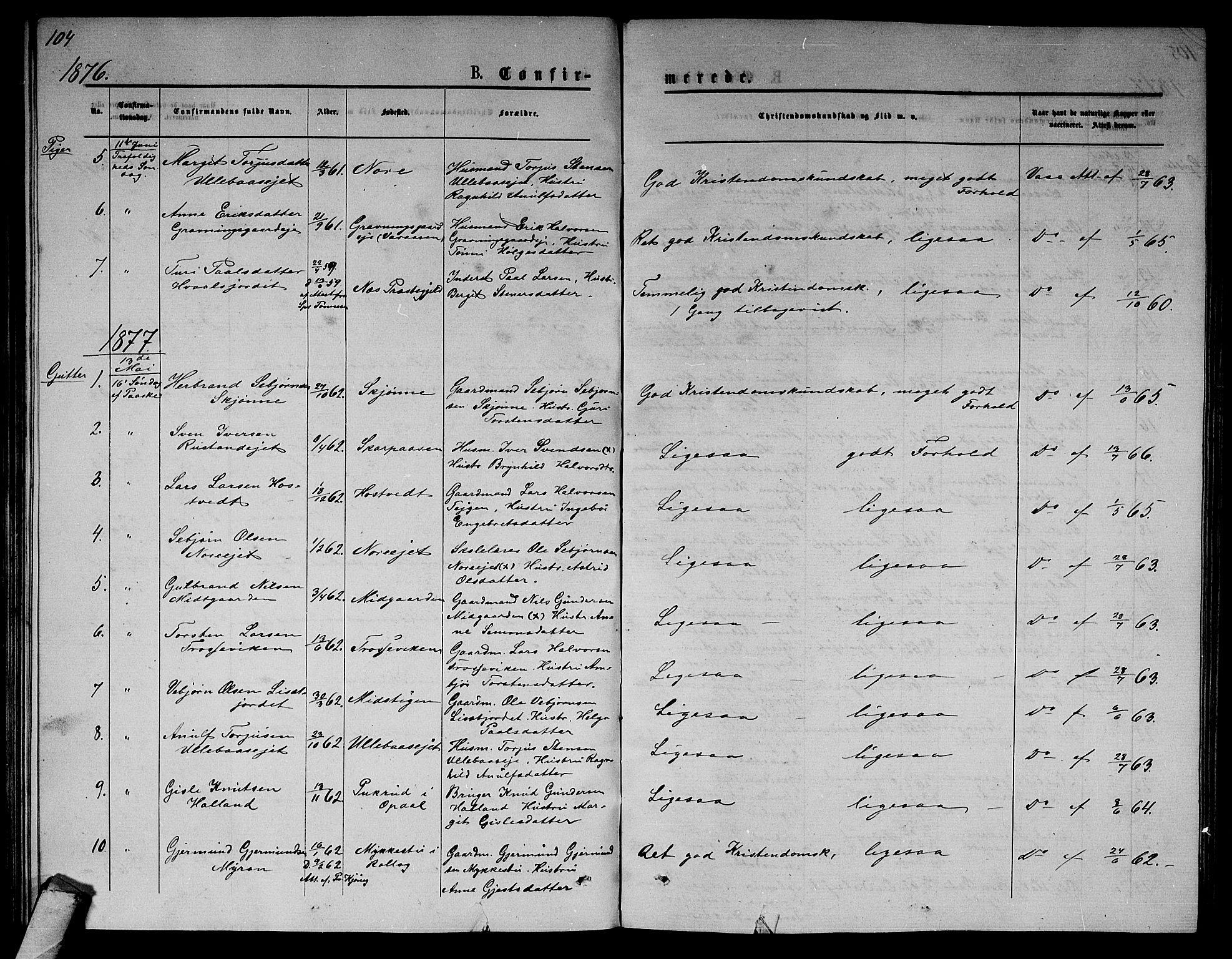 Nore kirkebøker, SAKO/A-238/G/Ga/L0001: Parish register (copy) no. I 1, 1872-1877, p. 104