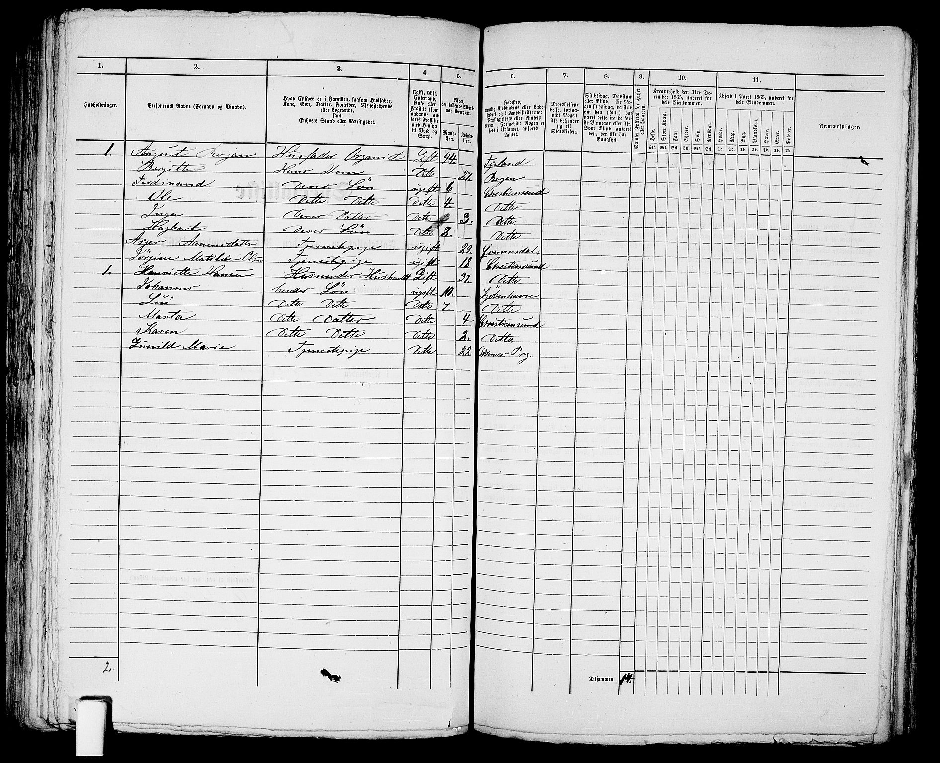 RA, 1865 census for Kristiansand, 1865, p. 251