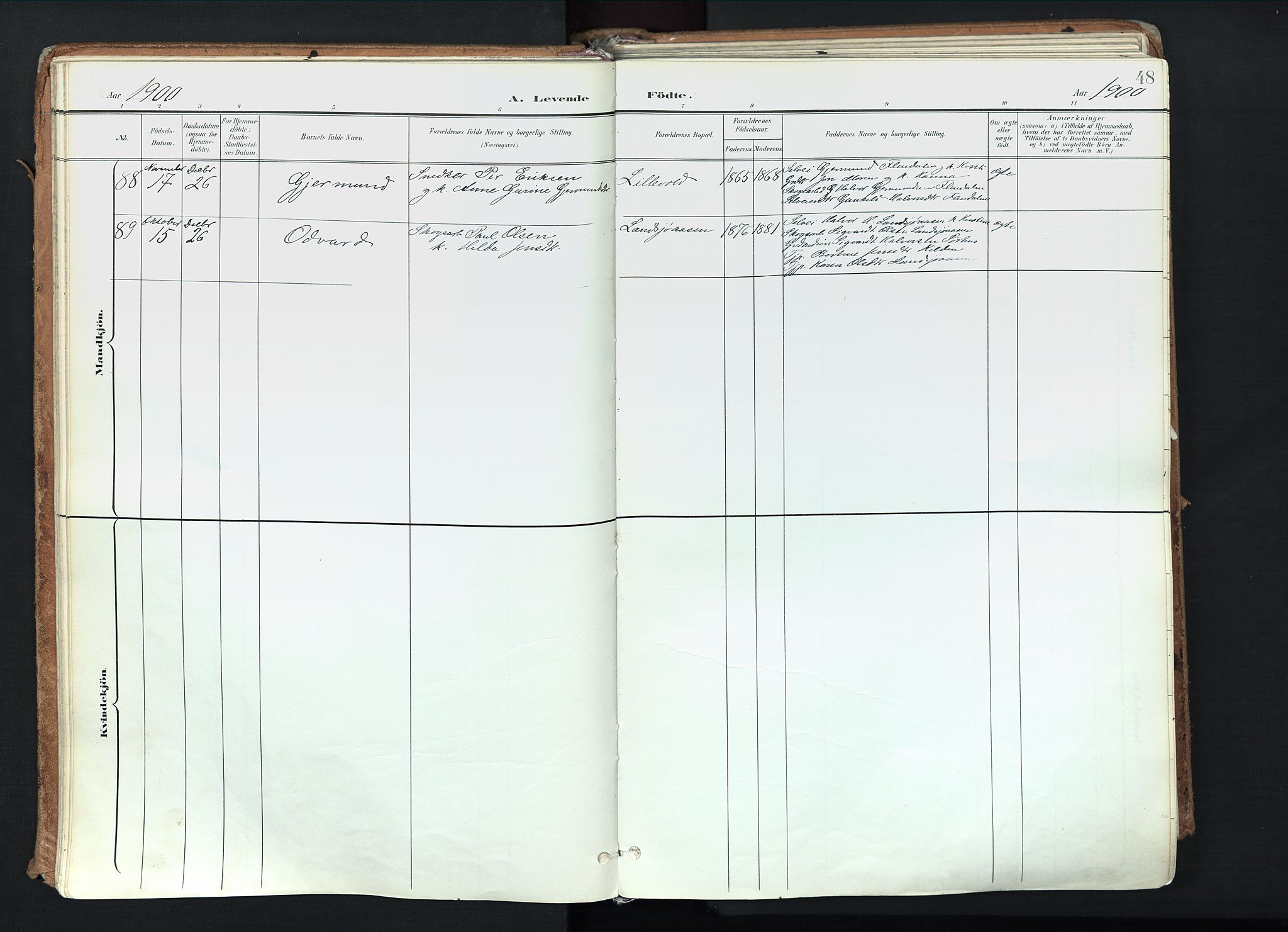 Trysil prestekontor, AV/SAH-PREST-046/H/Ha/Haa/L0012: Parish register (official) no. 12, 1898-1917, p. 48