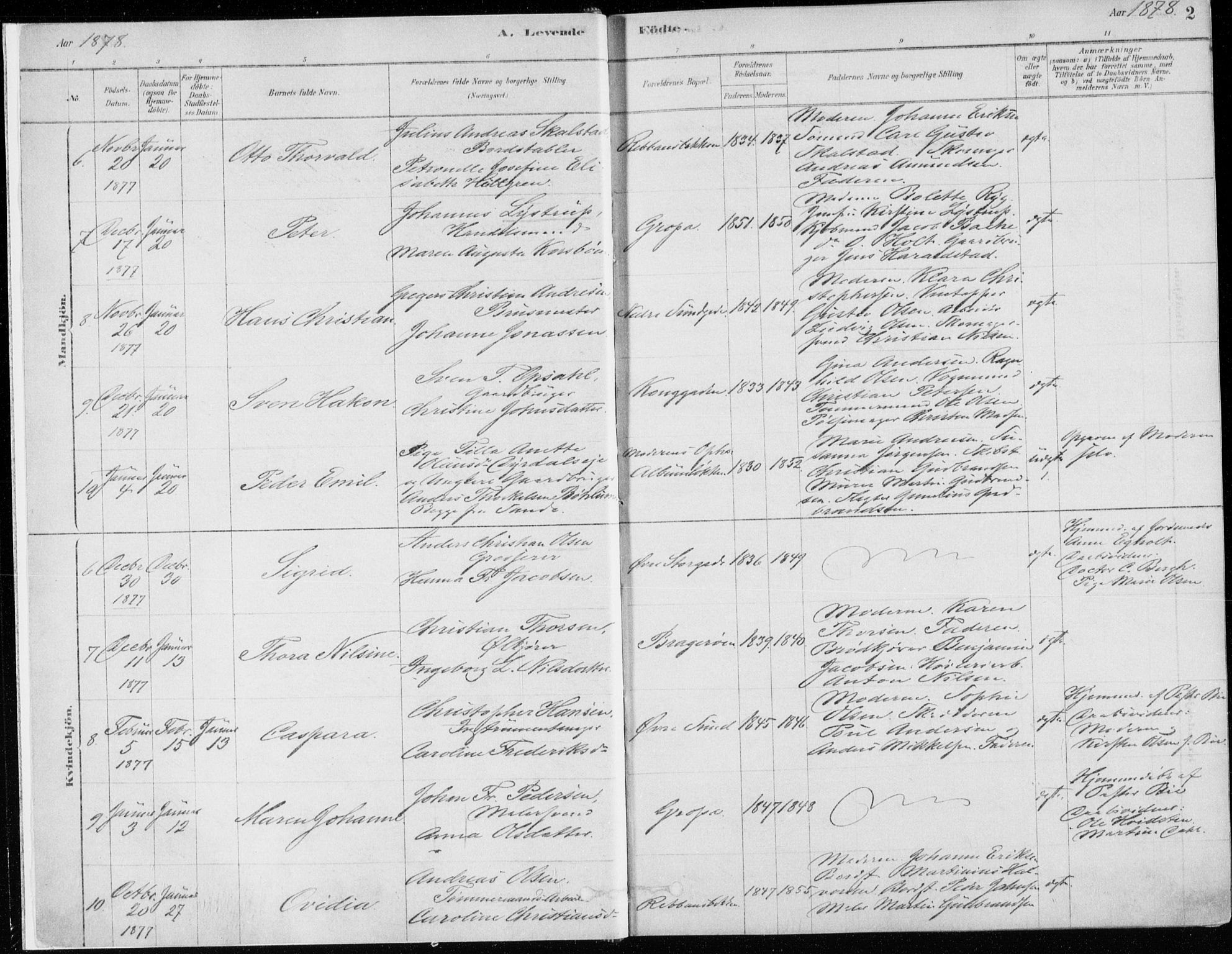 Bragernes kirkebøker, AV/SAKO-A-6/F/Fb/L0006a: Parish register (official) no. II 6A, 1878-1885, p. 2