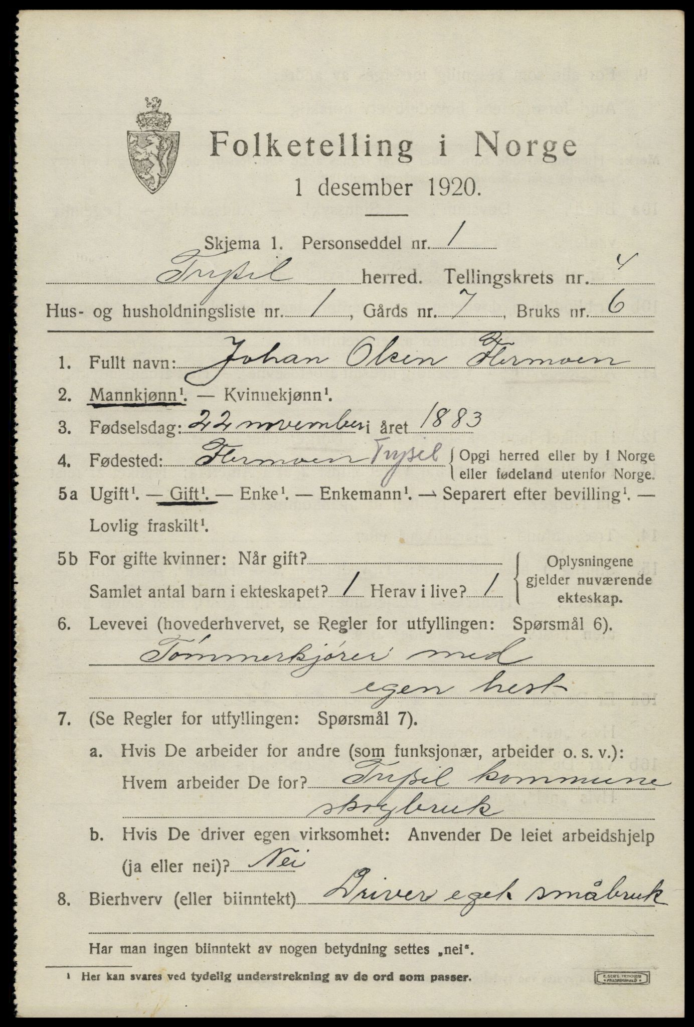 SAH, 1920 census for Trysil, 1920, p. 4081