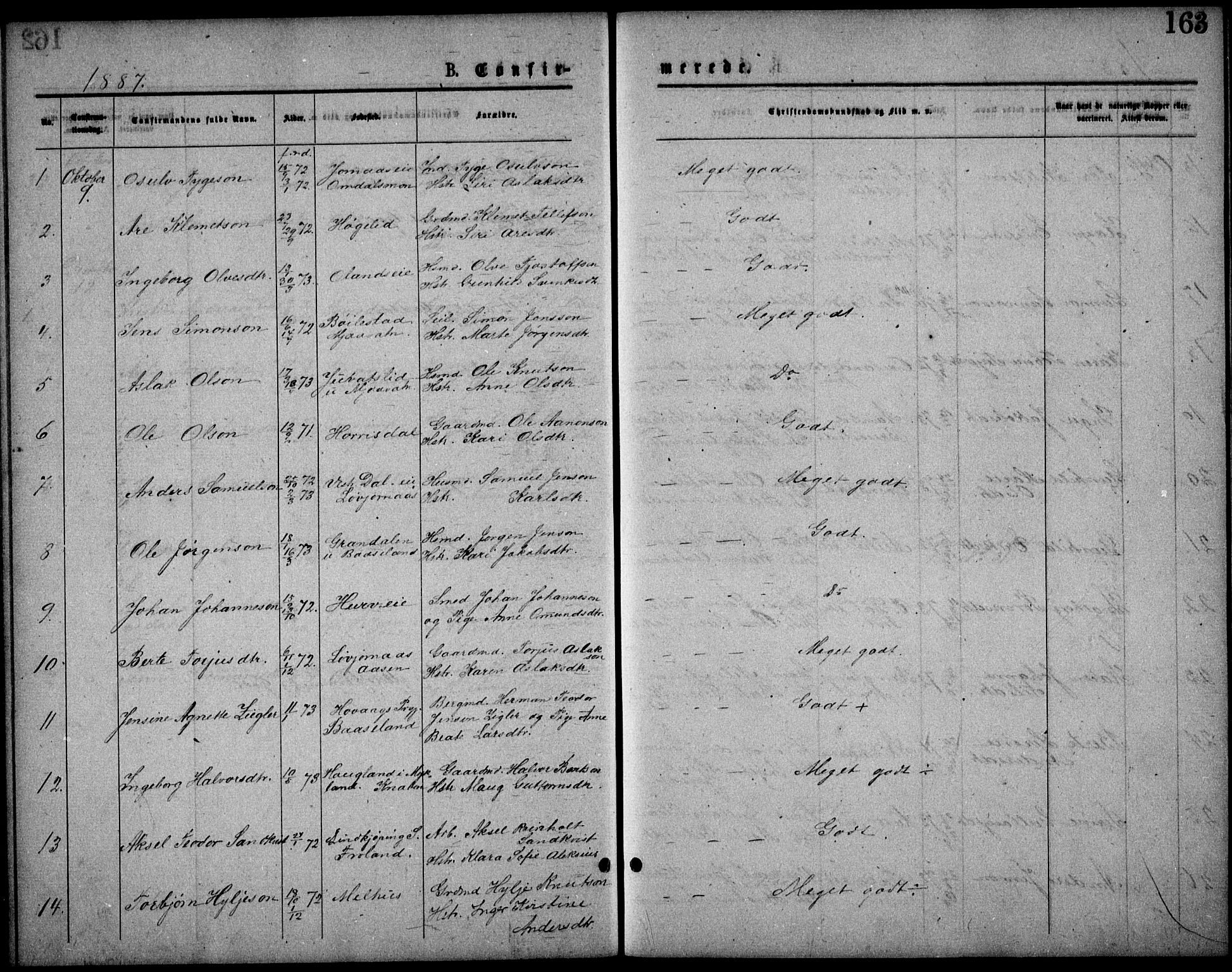 Froland sokneprestkontor, SAK/1111-0013/F/Fb/L0009: Parish register (copy) no. B 9, 1875-1893, p. 163