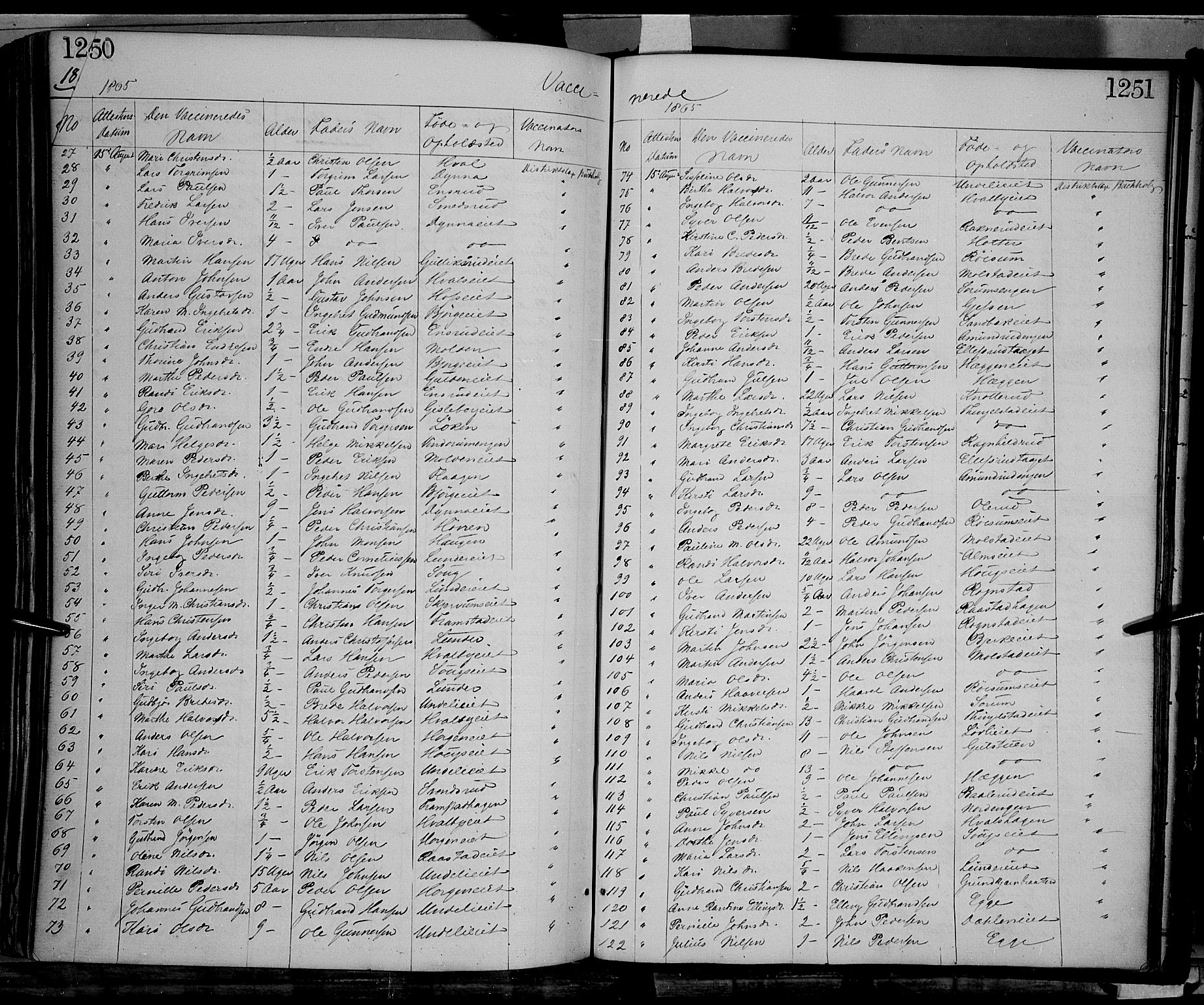Gran prestekontor, SAH/PREST-112/H/Ha/Haa/L0012: Parish register (official) no. 12, 1856-1874, p. 1250-1251