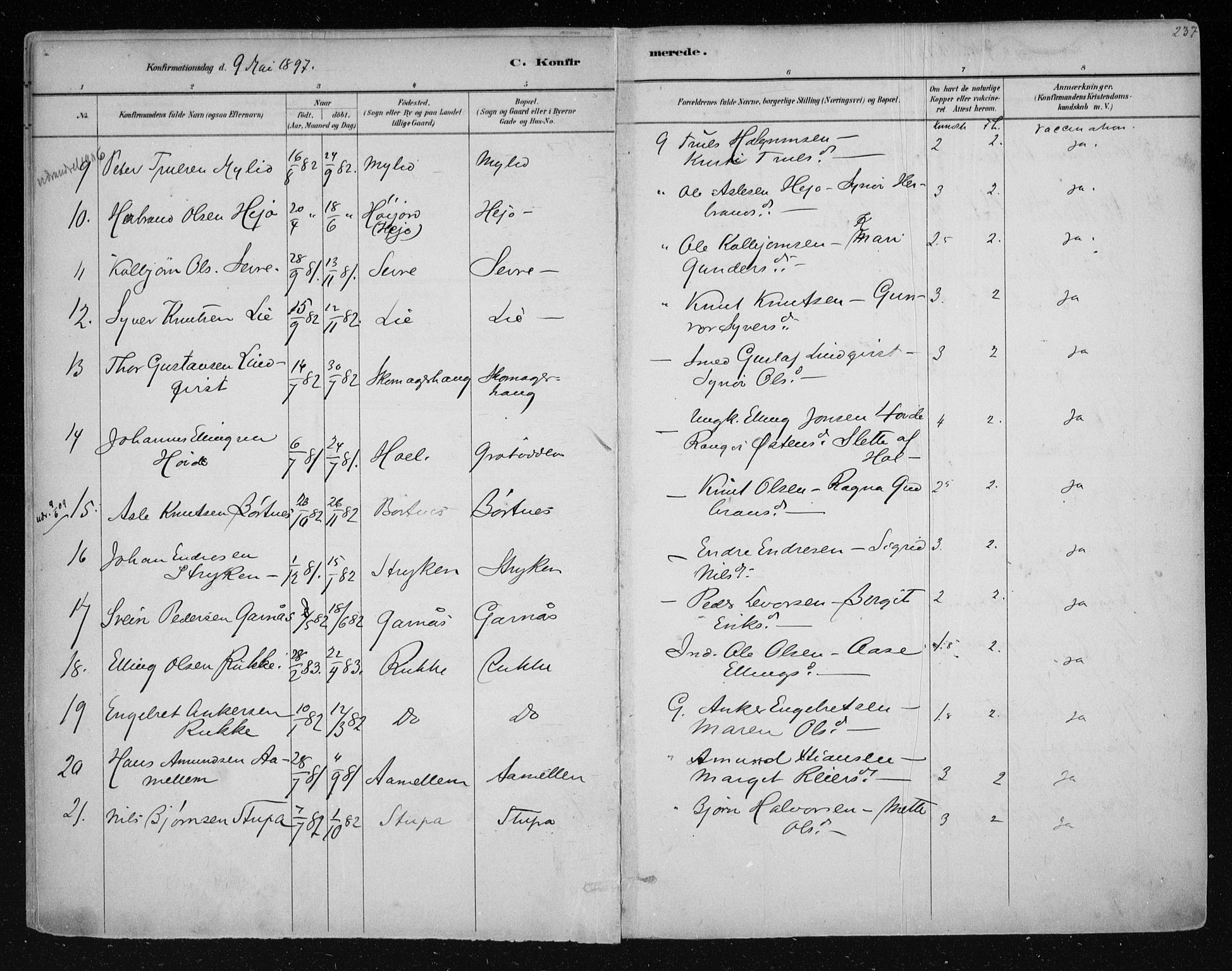 Nes kirkebøker, AV/SAKO-A-236/F/Fa/L0011: Parish register (official) no. 11, 1881-1912, p. 237