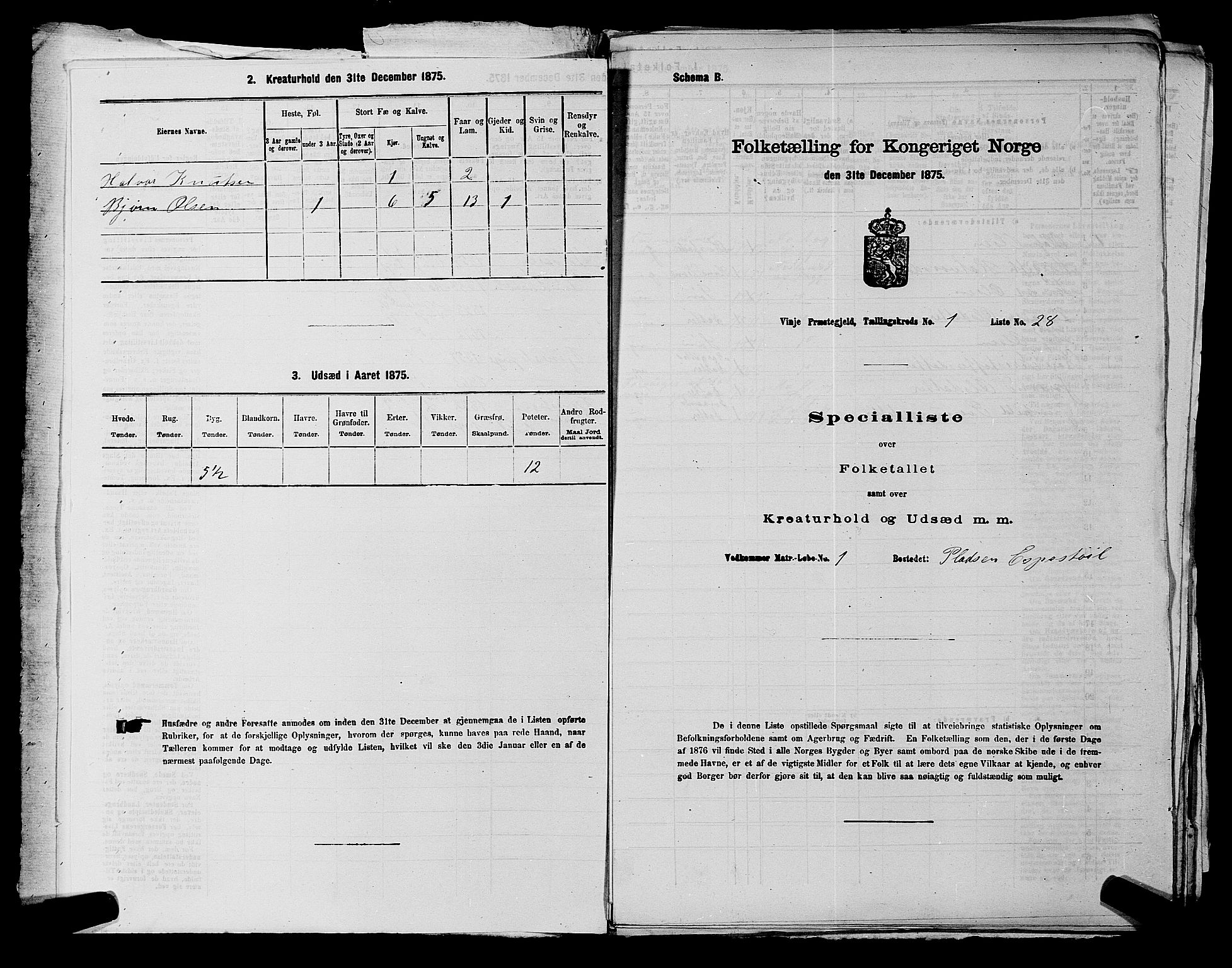 SAKO, 1875 census for 0834P Vinje, 1875, p. 45