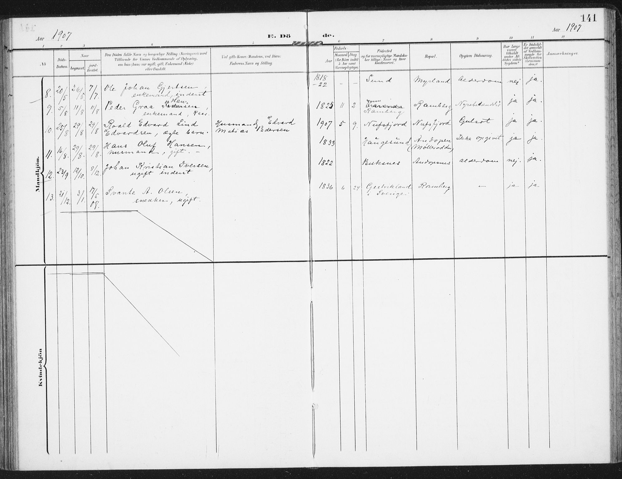 Ministerialprotokoller, klokkerbøker og fødselsregistre - Nordland, SAT/A-1459/885/L1206: Parish register (official) no. 885A07, 1905-1915, p. 141