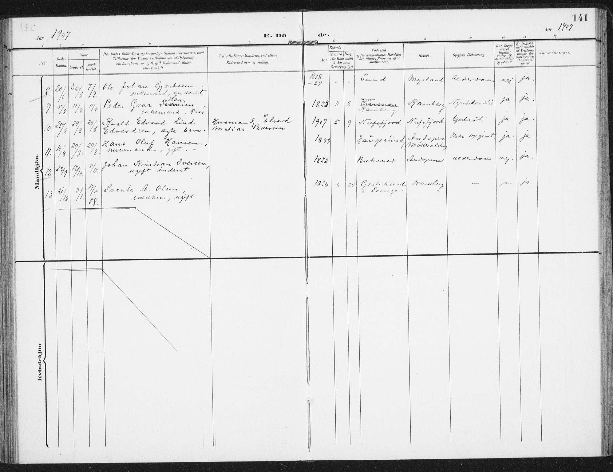 Ministerialprotokoller, klokkerbøker og fødselsregistre - Nordland, AV/SAT-A-1459/885/L1206: Parish register (official) no. 885A07, 1905-1915, p. 141