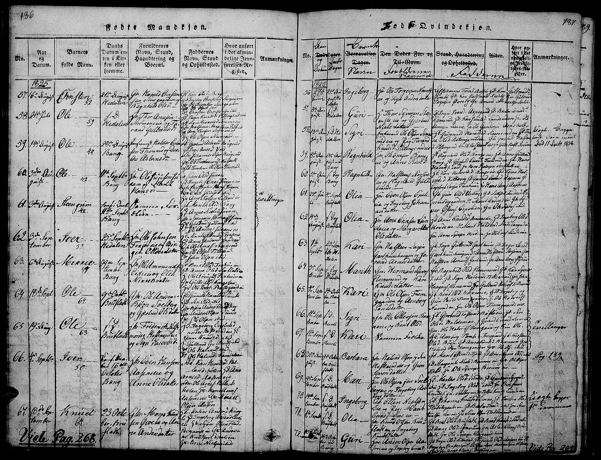 Sør-Aurdal prestekontor, SAH/PREST-128/H/Ha/Hab/L0001: Parish register (copy) no. 1, 1815-1826, p. 186-187