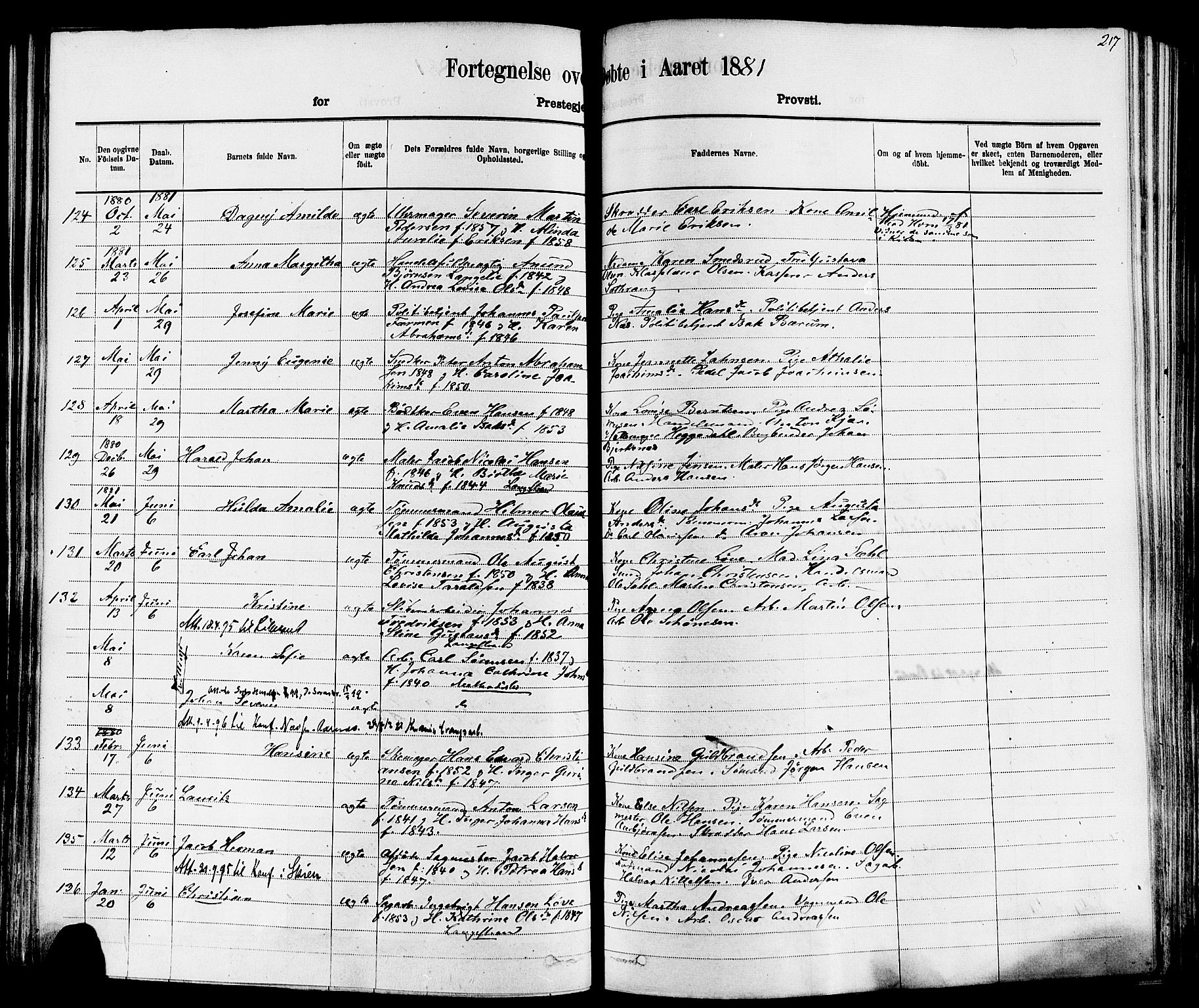 Larvik kirkebøker, AV/SAKO-A-352/F/Fa/L0006: Parish register (official) no. I 6, 1871-1883, p. 217