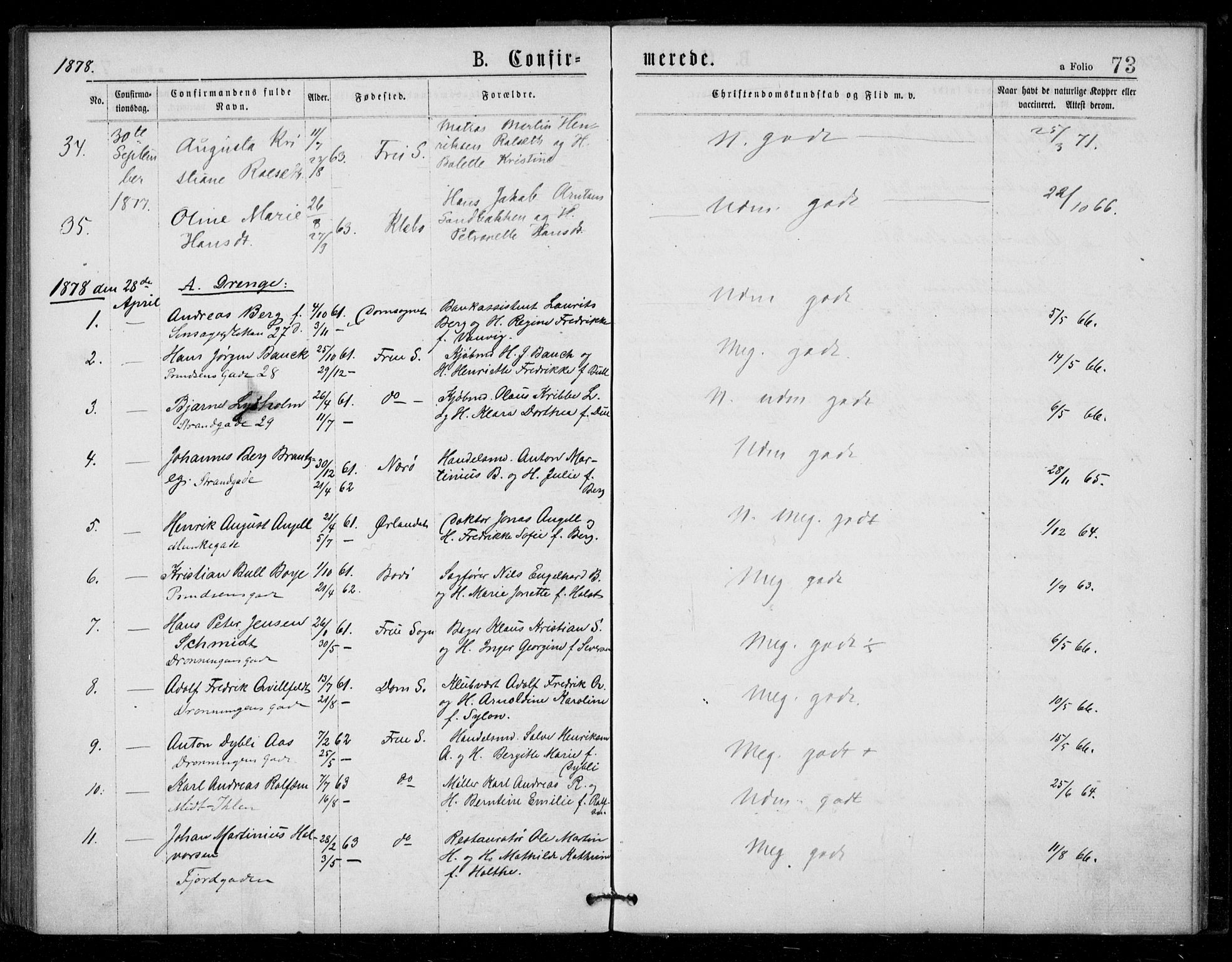 Ministerialprotokoller, klokkerbøker og fødselsregistre - Sør-Trøndelag, AV/SAT-A-1456/602/L0121: Parish register (official) no. 602A19, 1872-1879, p. 73