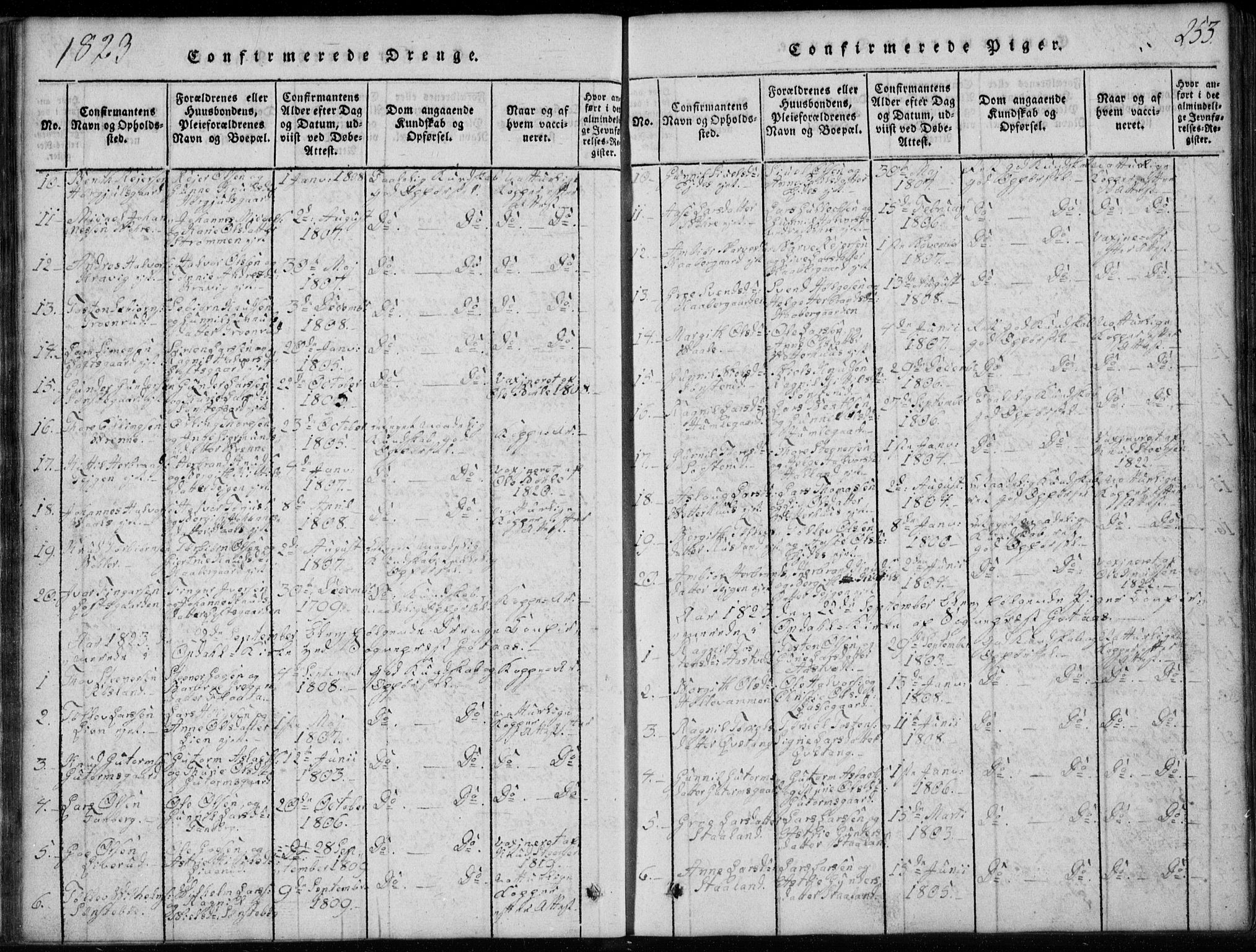 Rollag kirkebøker, AV/SAKO-A-240/G/Ga/L0001: Parish register (copy) no. I 1, 1814-1831, p. 253