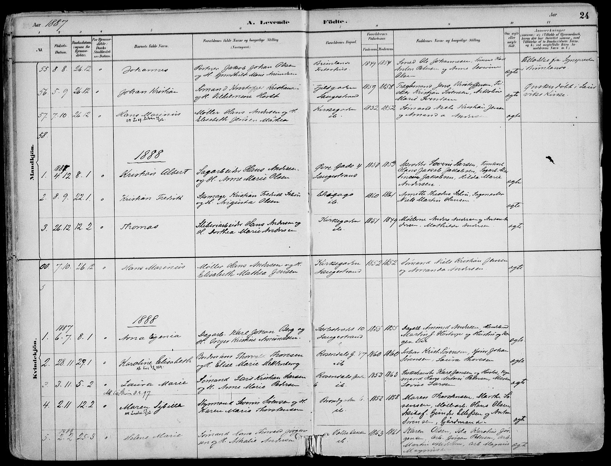 Larvik kirkebøker, AV/SAKO-A-352/F/Fb/L0004: Parish register (official) no. II 4, 1884-1902, p. 24