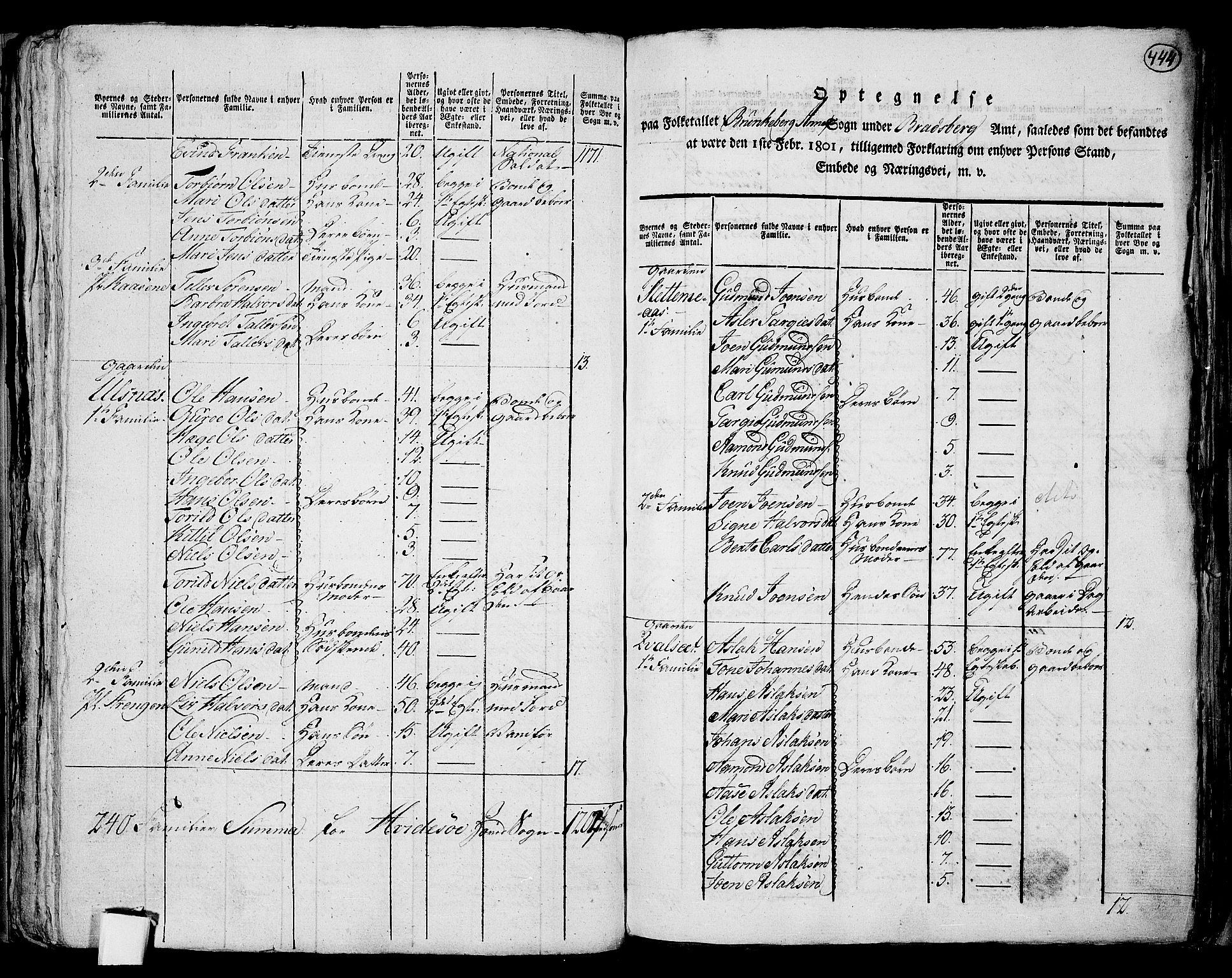 RA, 1801 census for 0829P Kviteseid, 1801, p. 443b-444a