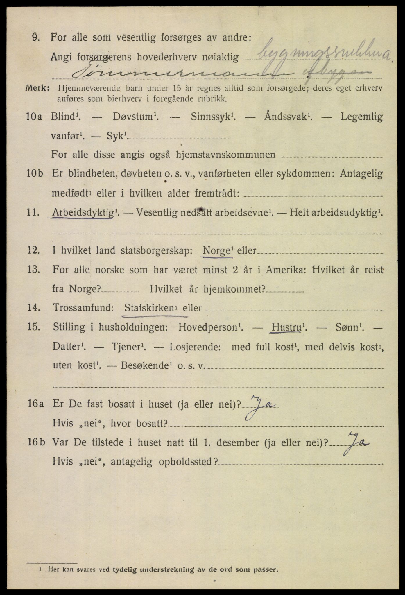 SAH, 1920 census for Snertingdal, 1920, p. 1358