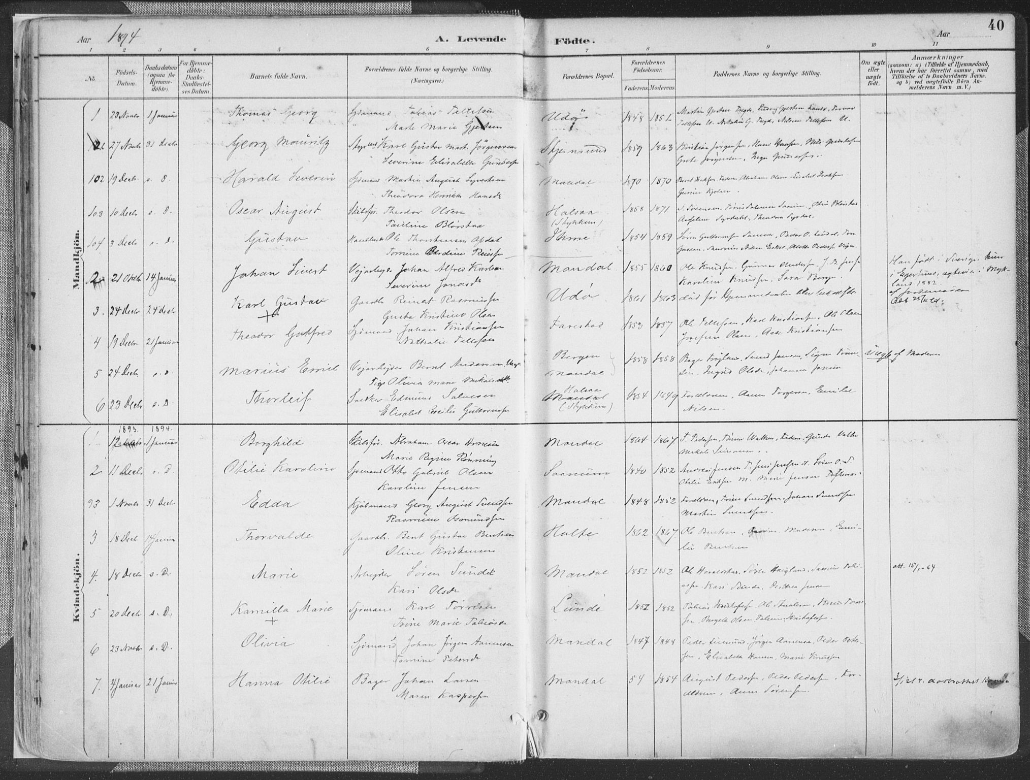 Mandal sokneprestkontor, SAK/1111-0030/F/Fa/Faa/L0018: Parish register (official) no. A 18, 1890-1905, p. 40