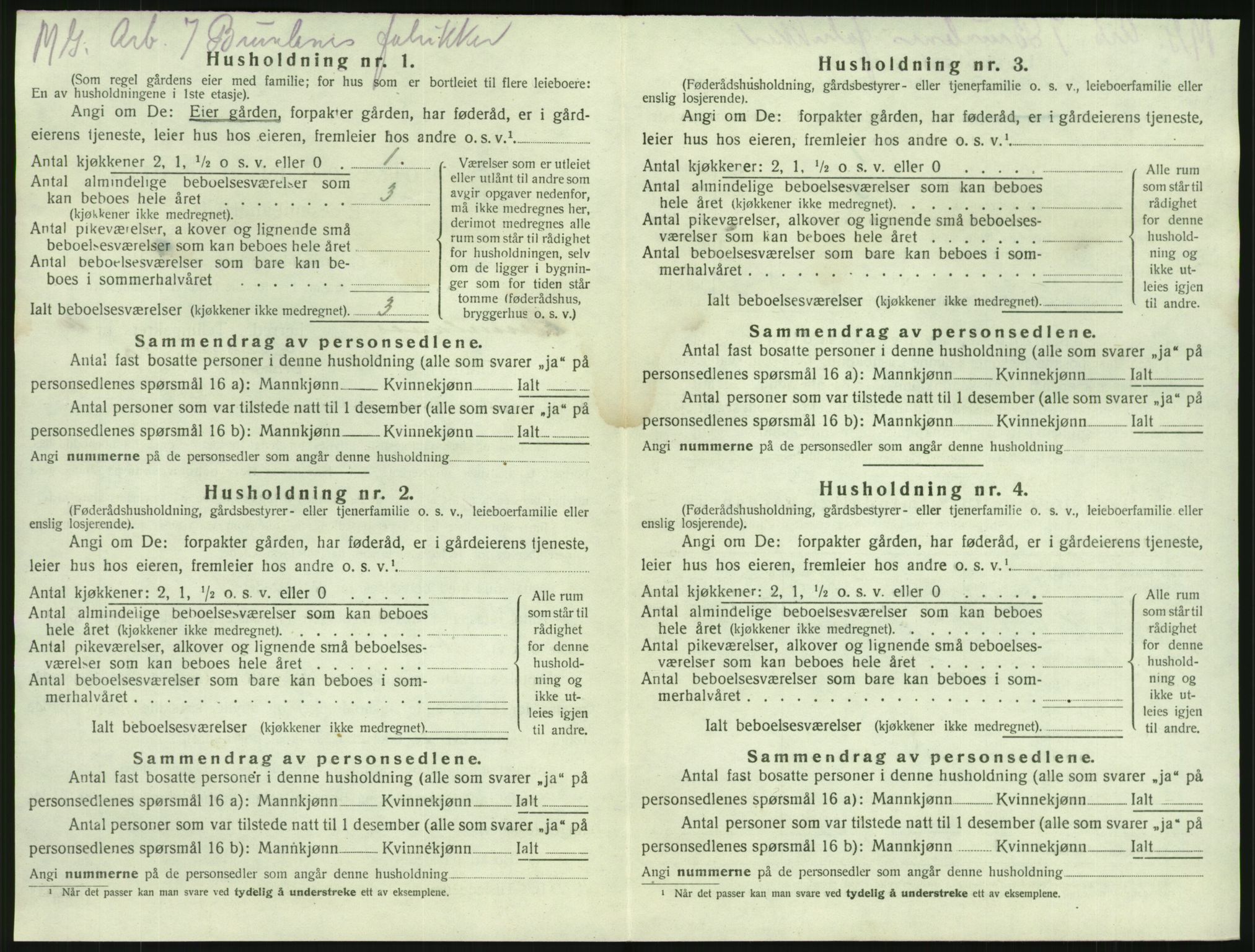 SAKO, 1920 census for Brunlanes, 1920, p. 1264