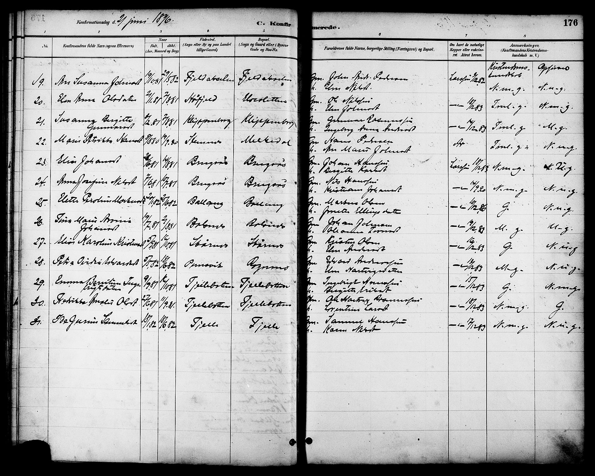 Ministerialprotokoller, klokkerbøker og fødselsregistre - Nordland, AV/SAT-A-1459/863/L0898: Parish register (official) no. 863A10, 1886-1897, p. 176