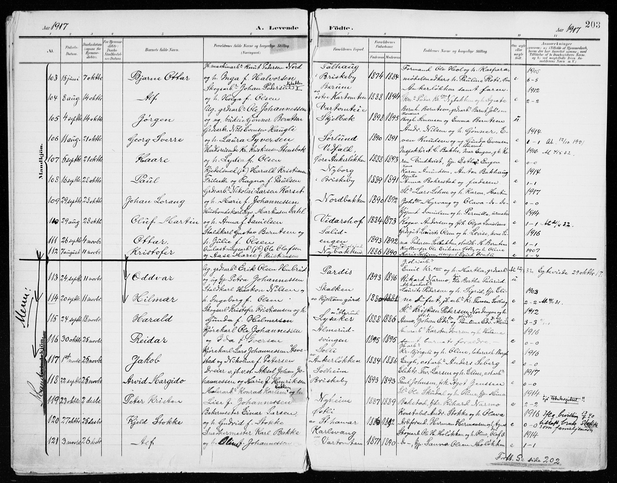 Vang prestekontor, Hedmark, AV/SAH-PREST-008/H/Ha/Haa/L0021: Parish register (official) no. 21, 1902-1917, p. 203