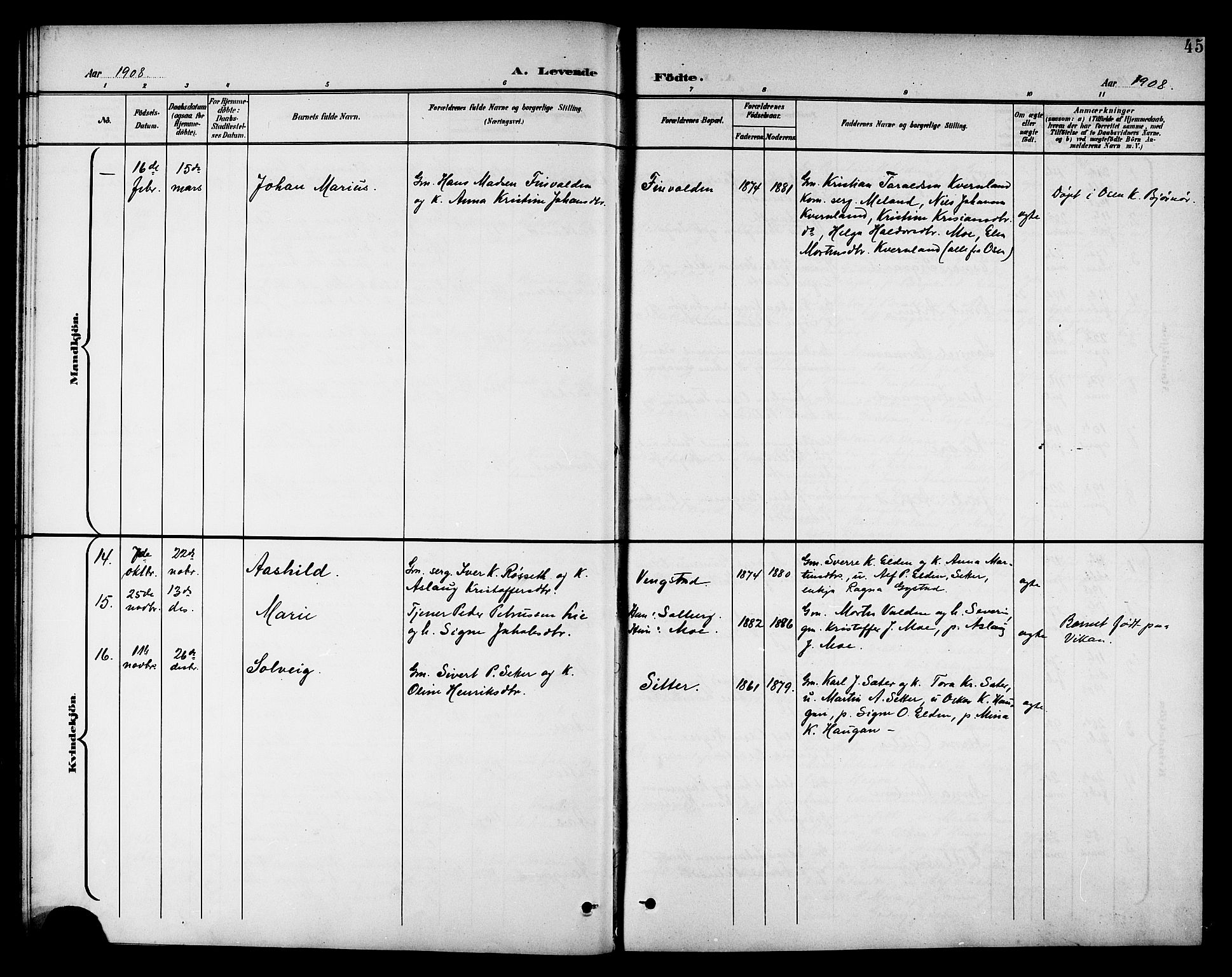 Ministerialprotokoller, klokkerbøker og fødselsregistre - Nord-Trøndelag, SAT/A-1458/742/L0412: Parish register (copy) no. 742C03, 1898-1910, p. 45