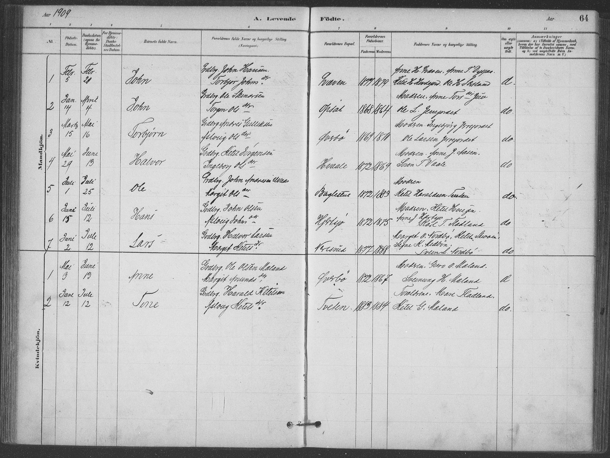 Hjartdal kirkebøker, SAKO/A-270/F/Fa/L0010: Parish register (official) no. I 10, 1880-1929, p. 64