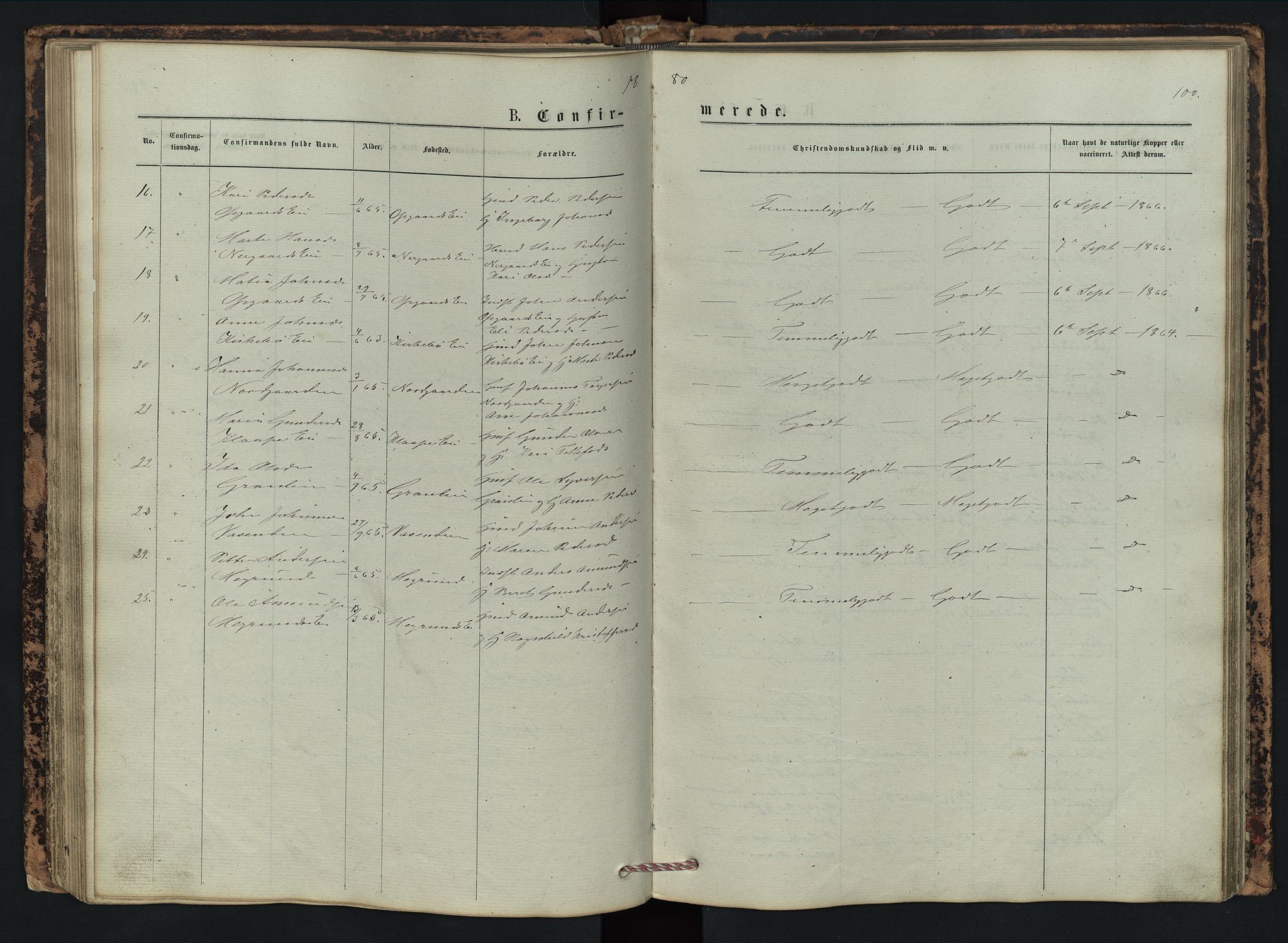 Vestre Gausdal prestekontor, SAH/PREST-094/H/Ha/Hab/L0002: Parish register (copy) no. 2, 1874-1897, p. 100
