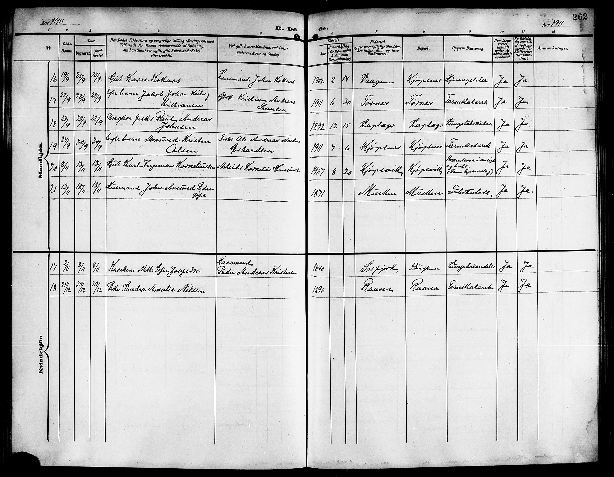 Ministerialprotokoller, klokkerbøker og fødselsregistre - Nordland, AV/SAT-A-1459/861/L0877: Parish register (copy) no. 861C03, 1903-1919, p. 262