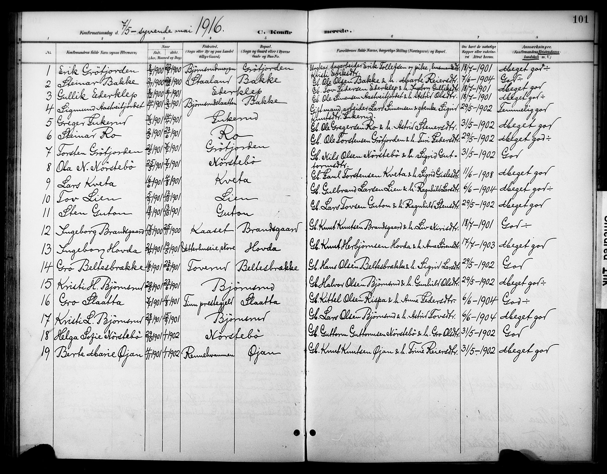 Nore kirkebøker, SAKO/A-238/F/Fc/L0005: Parish register (official) no. III 5, 1898-1922, p. 101