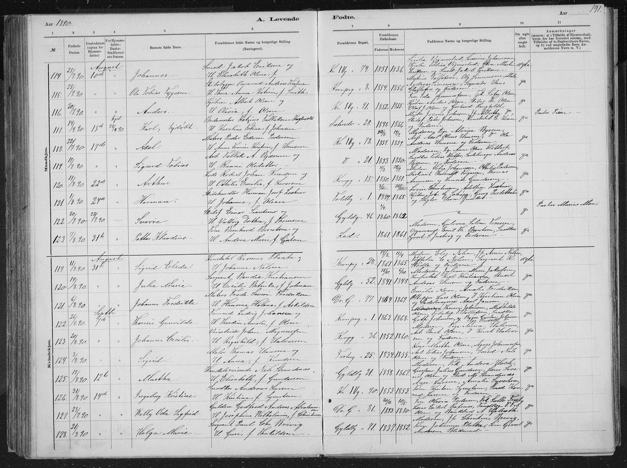 Kristiansand domprosti, SAK/1112-0006/F/Fb/L0014: Parish register (copy) no. B 14, 1881-1896, p. 191