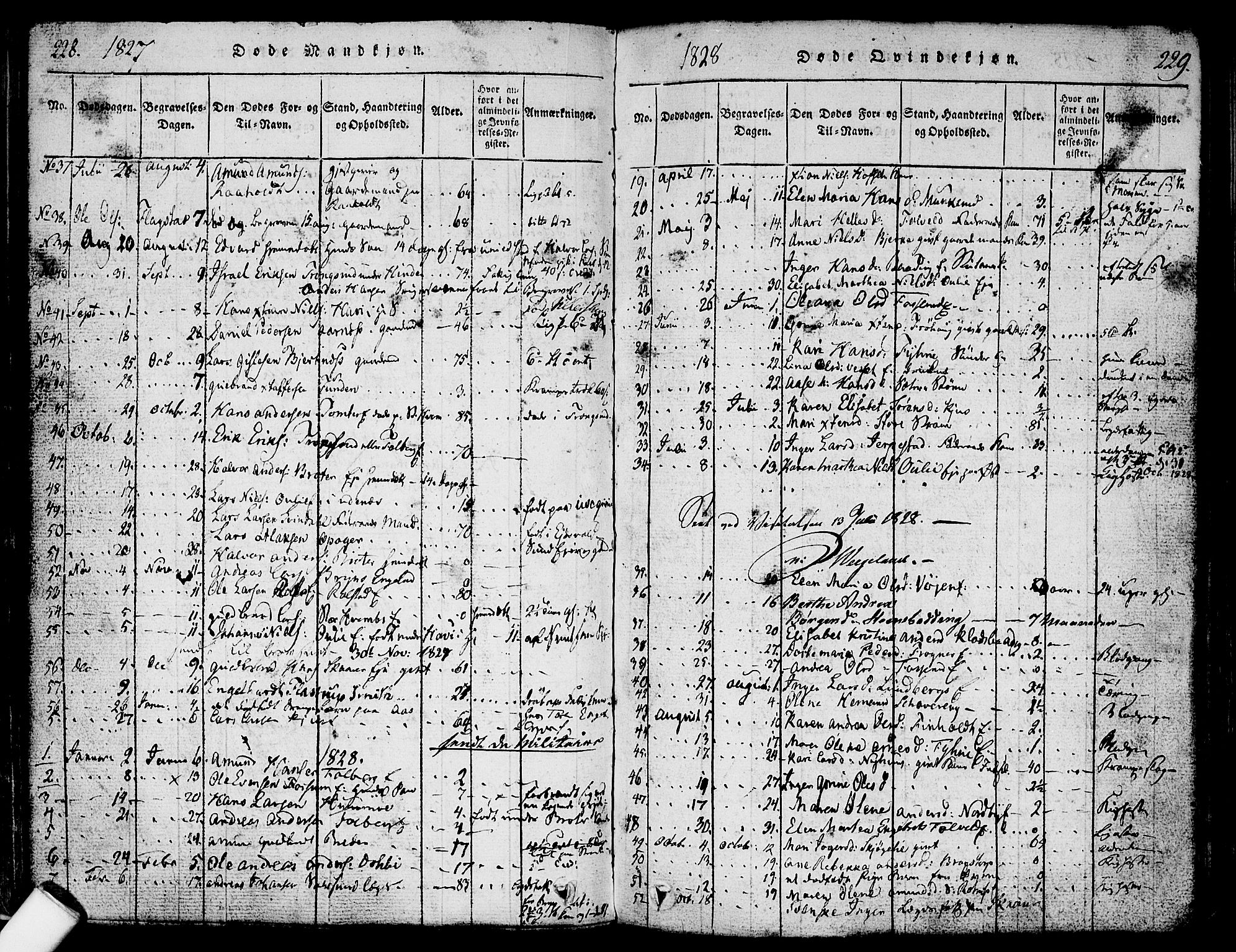 Nes prestekontor Kirkebøker, SAO/A-10410/F/Fa/L0005: Parish register (official) no. I 5, 1815-1835, p. 228-229