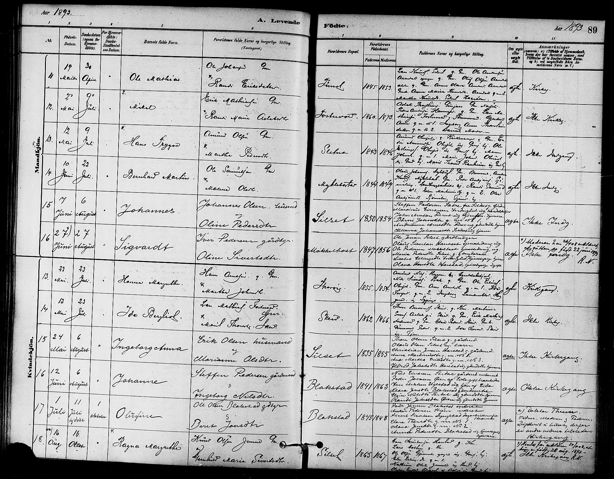 Ministerialprotokoller, klokkerbøker og fødselsregistre - Møre og Romsdal, AV/SAT-A-1454/584/L0967: Parish register (official) no. 584A07, 1879-1894, p. 89