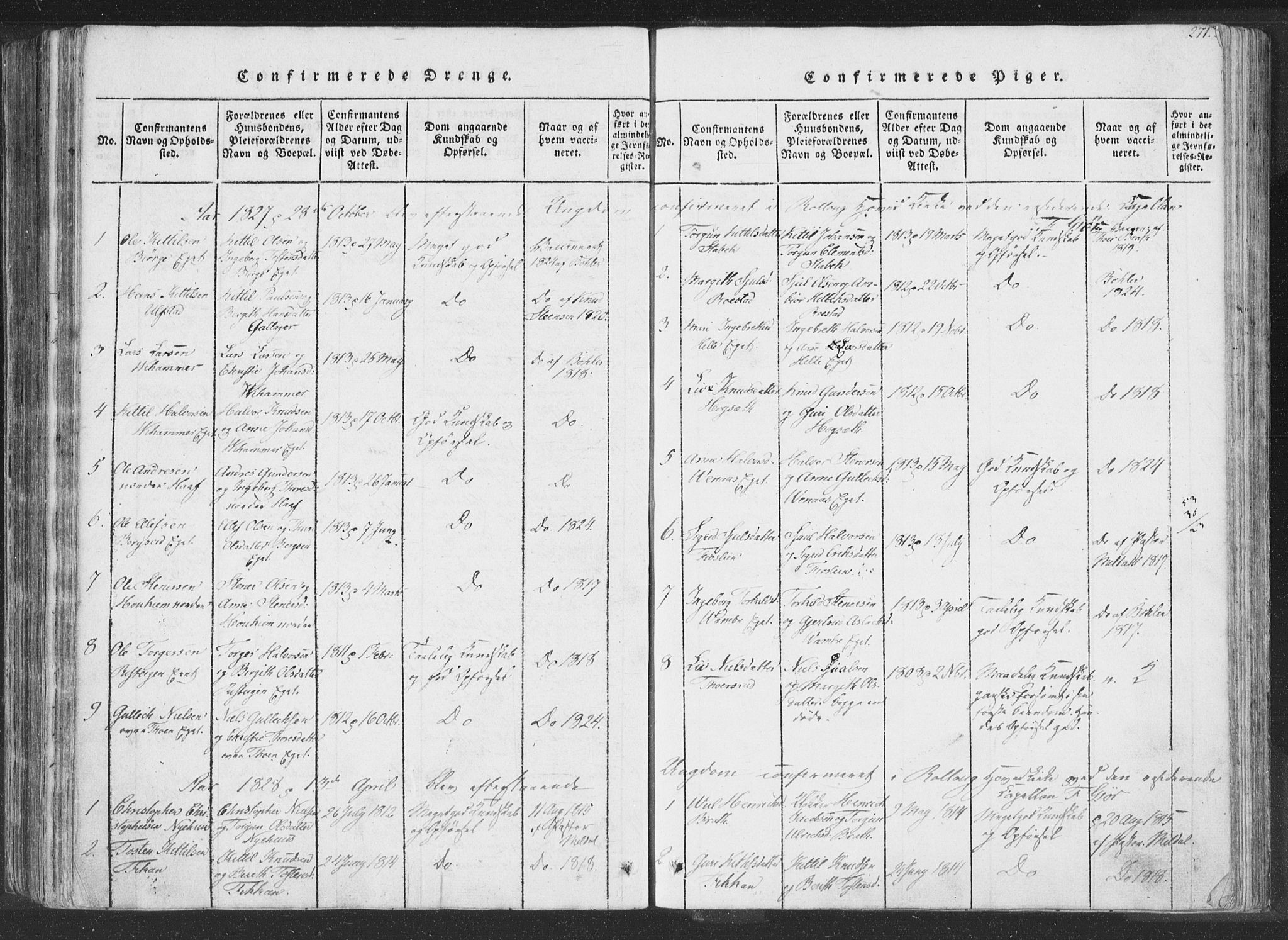 Rollag kirkebøker, SAKO/A-240/F/Fa/L0006: Parish register (official) no. I 6, 1814-1828, p. 271