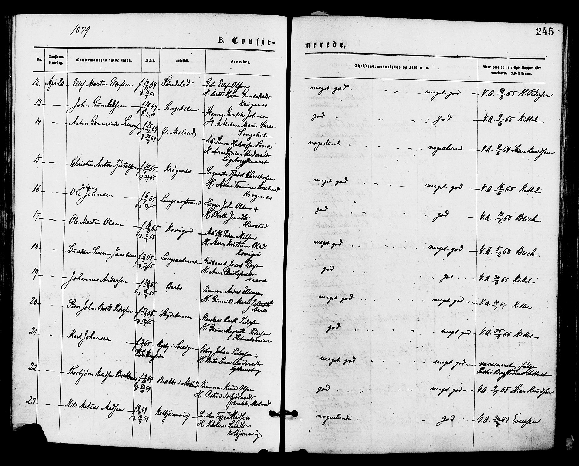 Barbu sokneprestkontor, AV/SAK-1111-0003/F/Fa/L0001: Parish register (official) no. A 1 /1, 1878-1883, p. 245