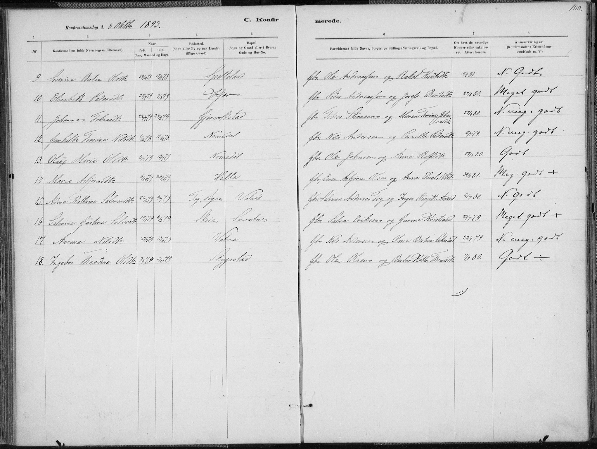 Holum sokneprestkontor, SAK/1111-0022/F/Fa/Faa/L0007: Parish register (official) no. A 7, 1884-1907, p. 100