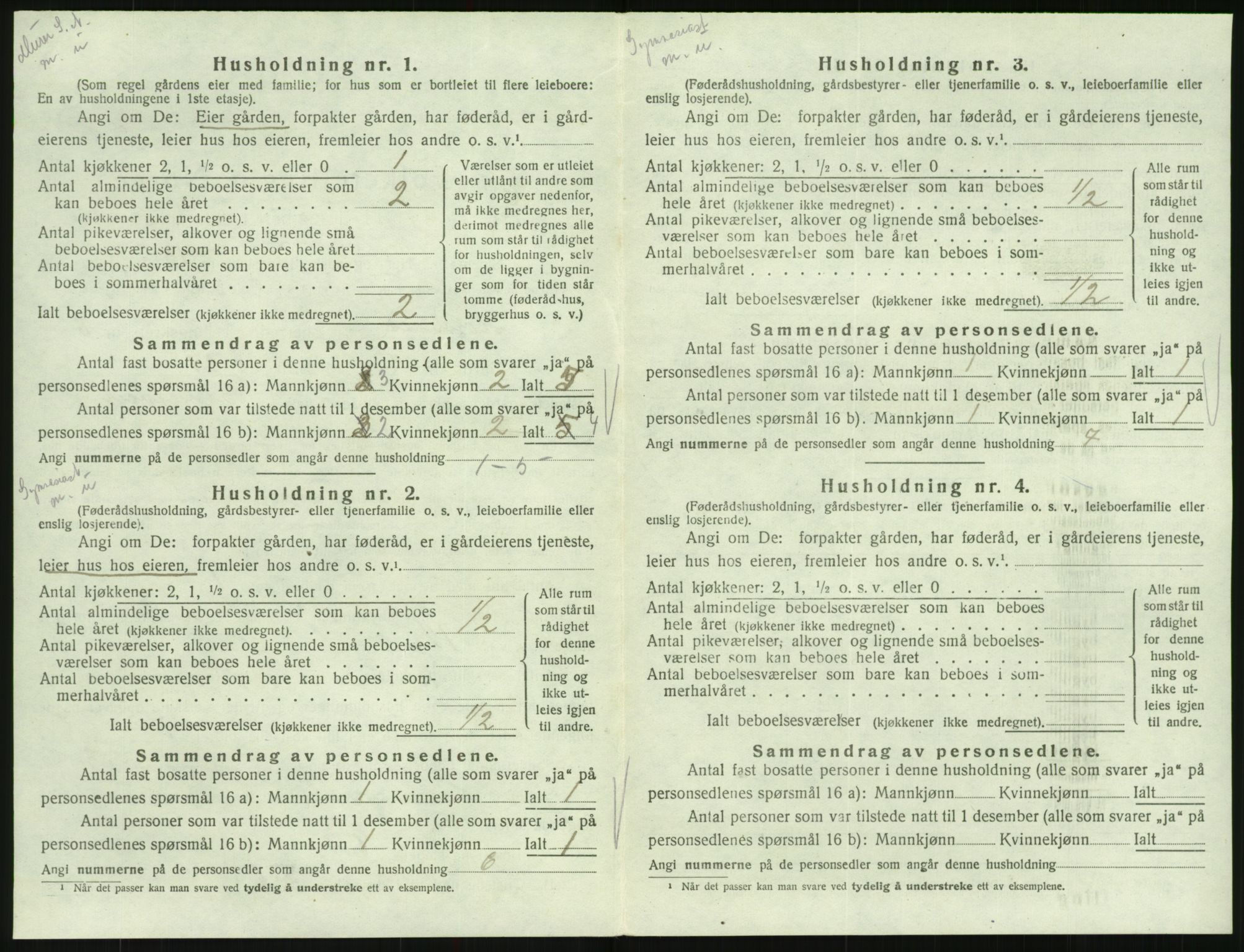 SAK, 1920 census for Hornnes, 1920, p. 320