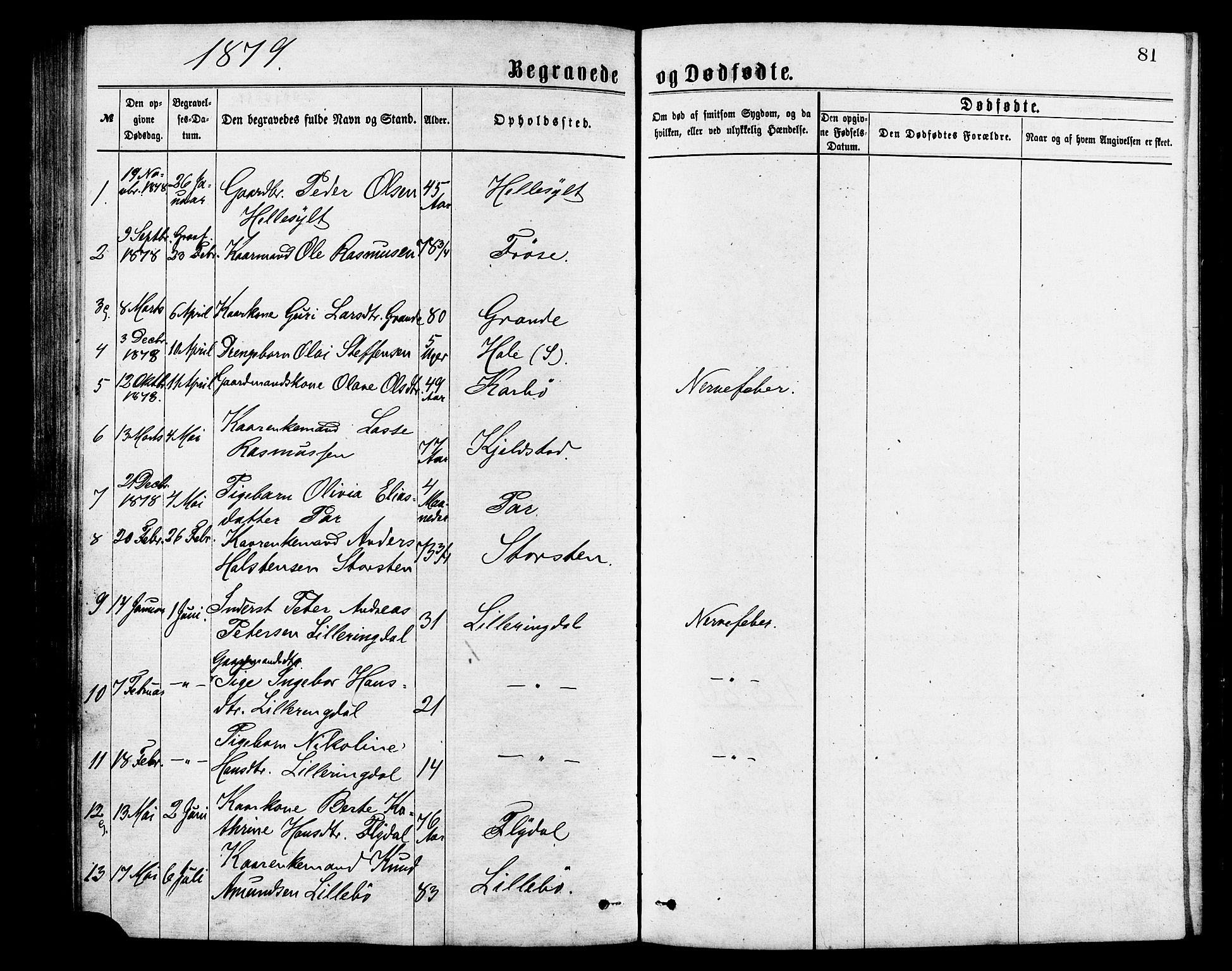 Ministerialprotokoller, klokkerbøker og fødselsregistre - Møre og Romsdal, SAT/A-1454/517/L0227: Parish register (official) no. 517A07, 1870-1886, p. 81