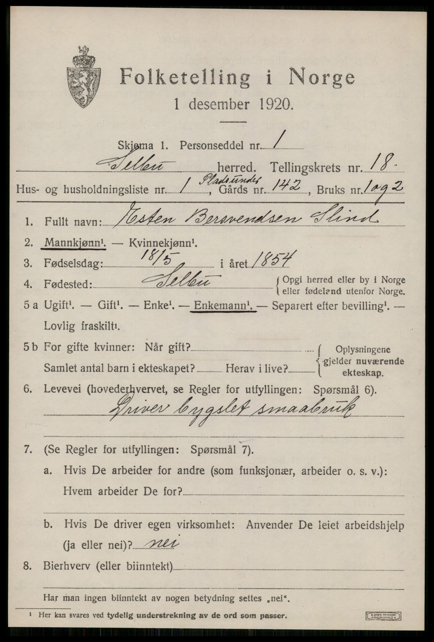 SAT, 1920 census for Selbu, 1920, p. 9442