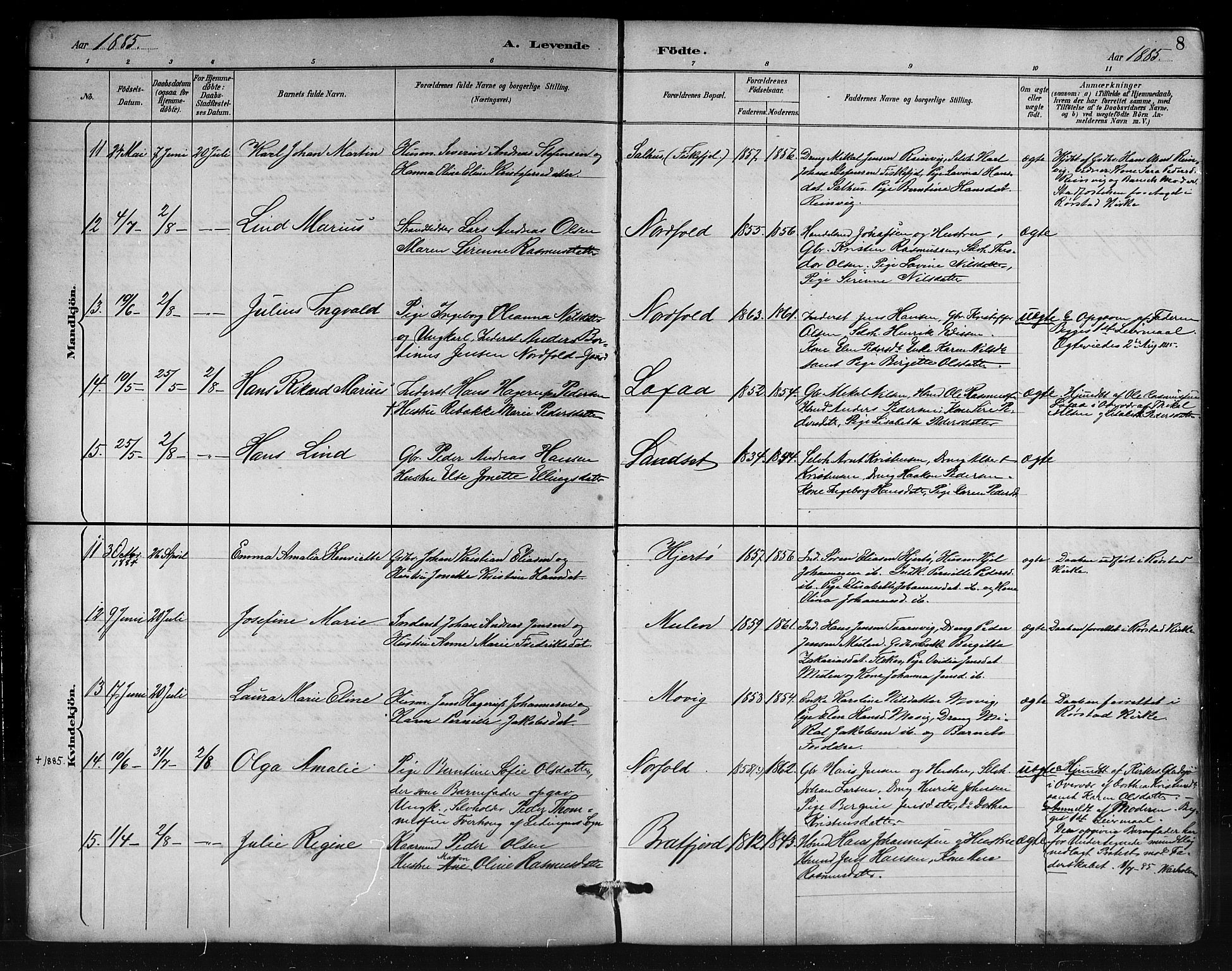 Ministerialprotokoller, klokkerbøker og fødselsregistre - Nordland, AV/SAT-A-1459/858/L0831: Parish register (official) no. 858A01, 1884-1902, p. 8