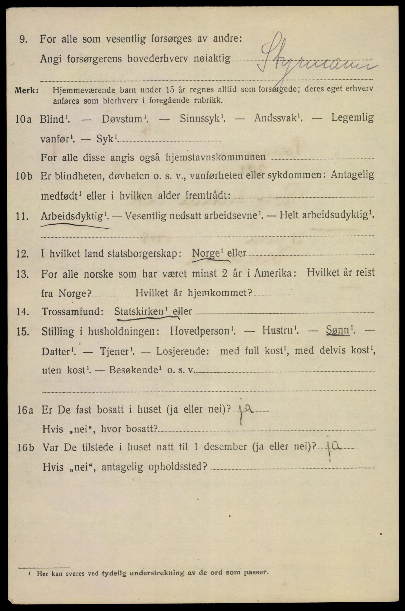 SAKO, 1920 census for Porsgrunn, 1920, p. 9424