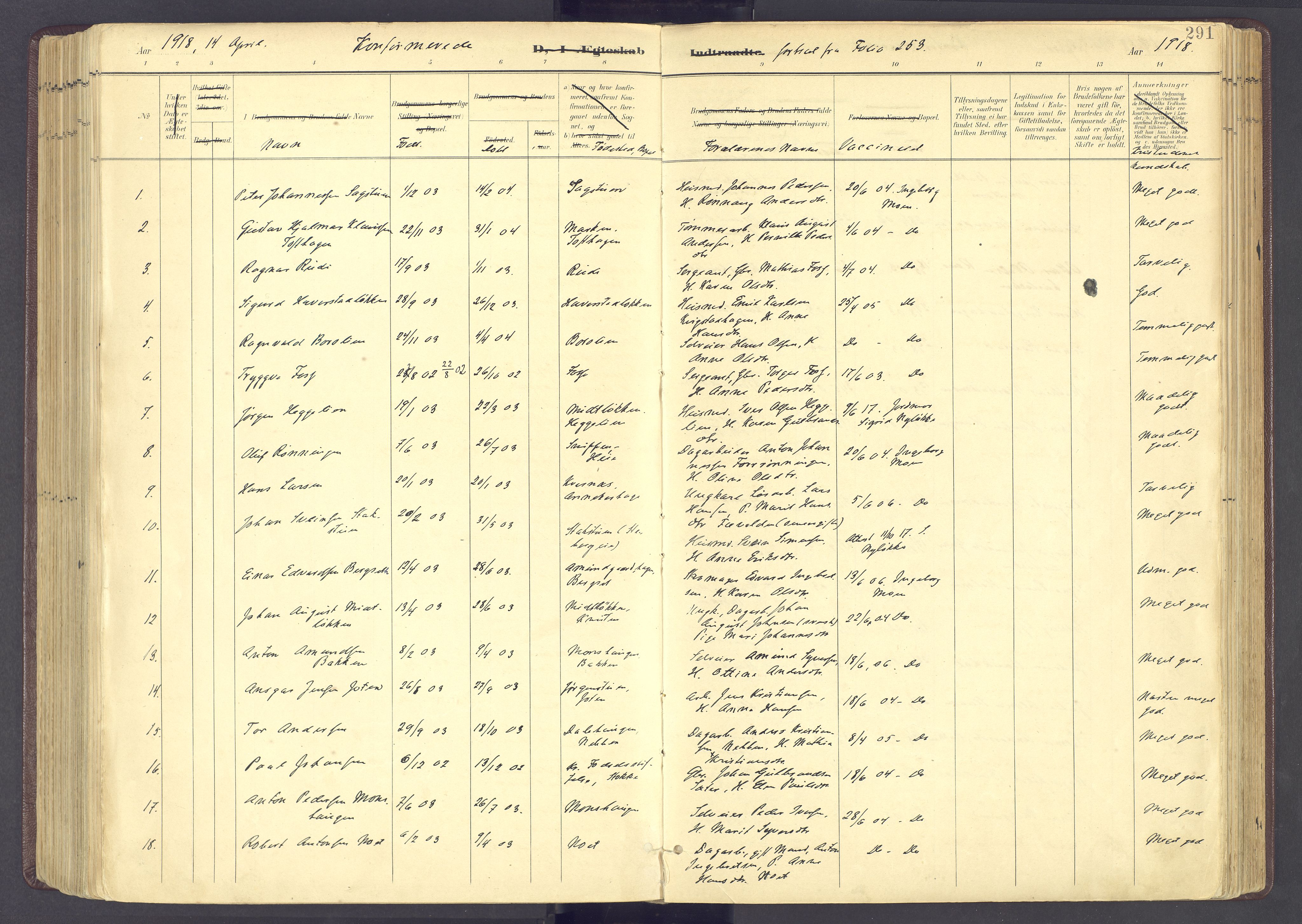 Sør-Fron prestekontor, AV/SAH-PREST-010/H/Ha/Haa/L0004: Parish register (official) no. 4, 1898-1919, p. 291