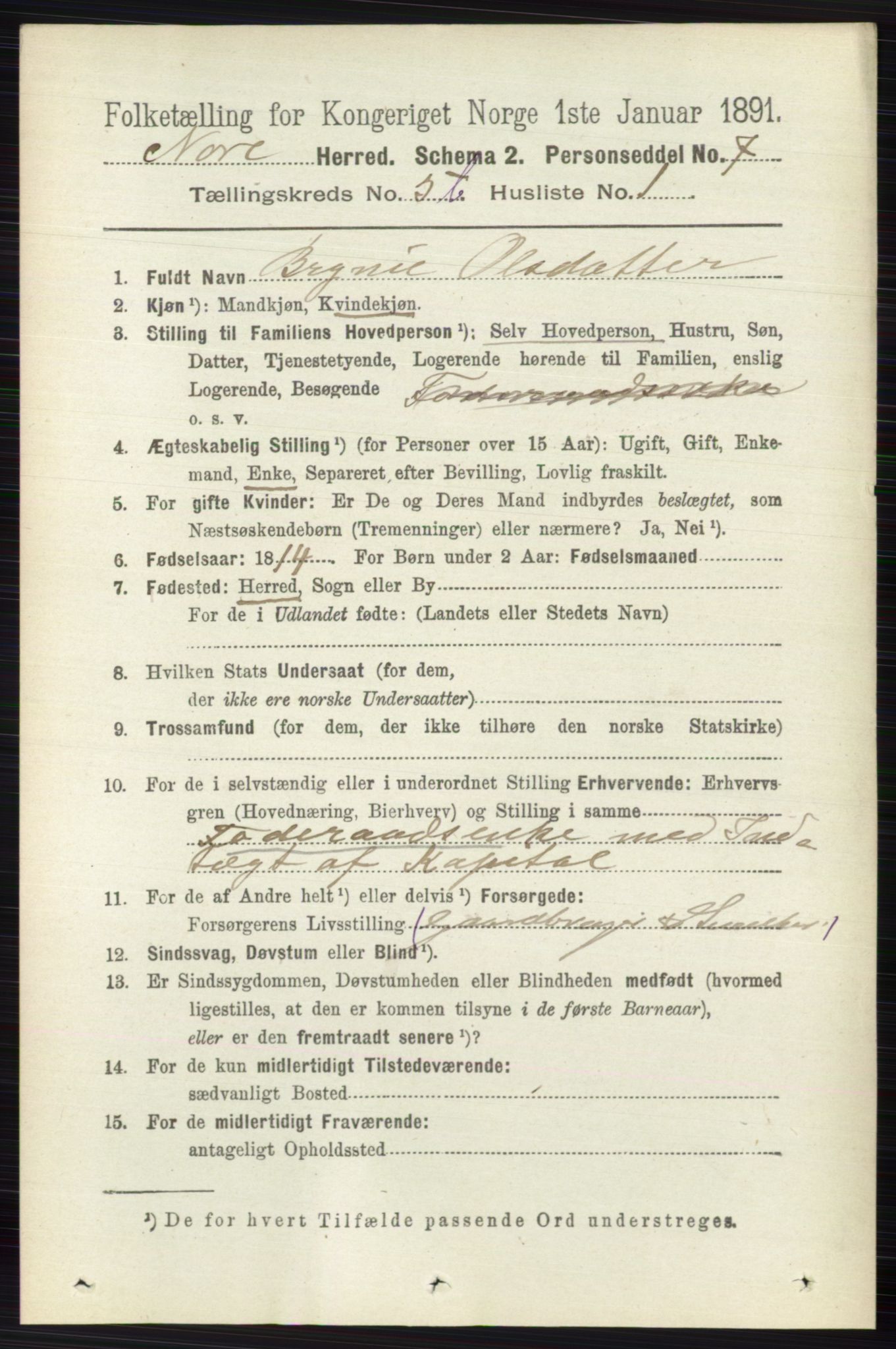 RA, 1891 census for 0633 Nore, 1891, p. 1784