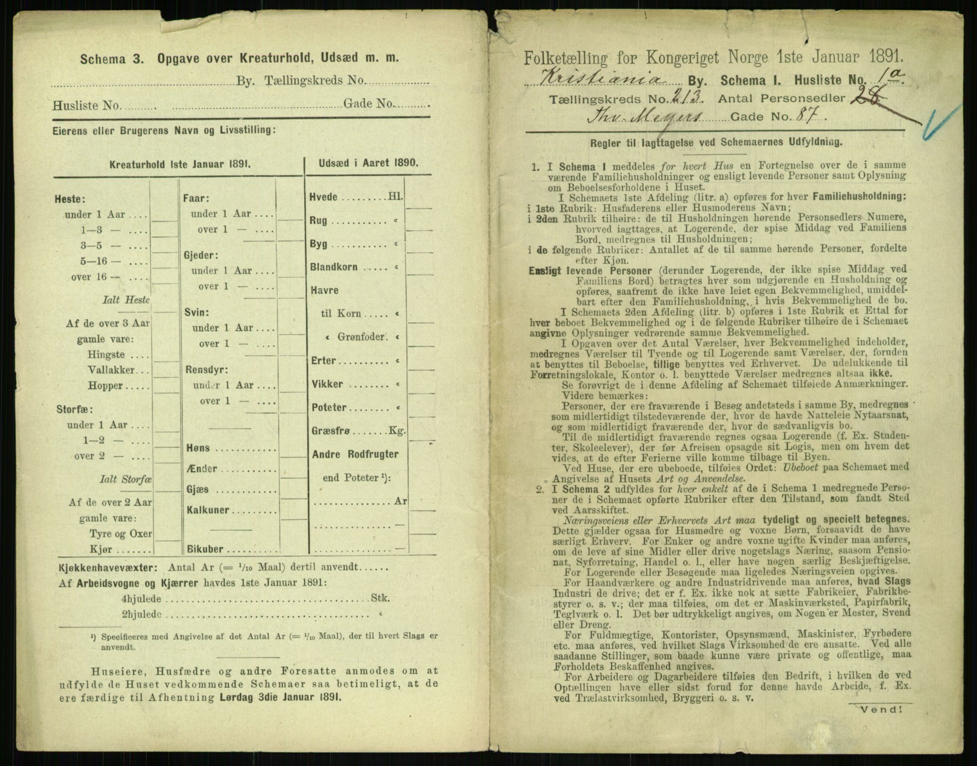 RA, 1891 census for 0301 Kristiania, 1891, p. 126951