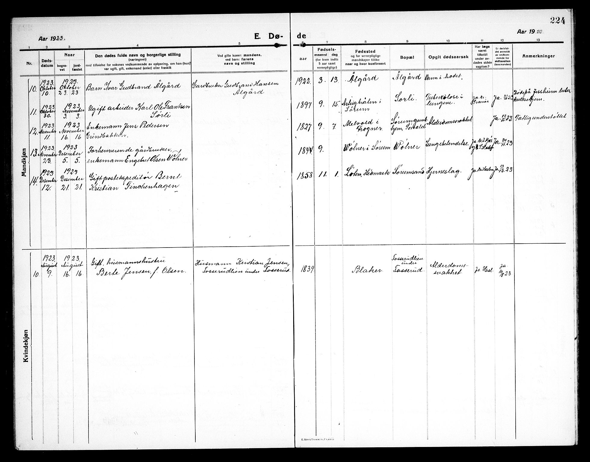 Sørum prestekontor Kirkebøker, AV/SAO-A-10303/G/Ga/L0008: Parish register (copy) no. I 8, 1917-1934, p. 224